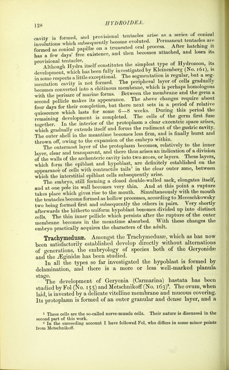 HYDROIDKA. P^vitv is formed and provisional tentacles arise as a series of conical ZlZuM subsequently become evoluted. Permatrent tentacles are formed as conical papill^ on a truncated oral process After hatching it has a few days' free existence, and then becomes attached, and loses its ^'TZougrnS^^ simplest type of Hydrozoon its development, which has been fully investigated by Klemenberg (No. i6i), is in some respects a little exceptional. The segmentation is regular, but a seg- mentation cavity is not formed. The peripheral layer of cells gradually becomes converted into a chitinous membrane, which is perhaps homologous with the perisarc of marine forms. Between the membrane and the germ a second pellicle makes its appearance. The above changes require about four days for their completion, but there next sets in a period of relative quiescence which lasts for some 6-8 weeks. During this period the remaining development is completed. The cells of the germ first fuse tocrether In the interior of the protoplasm a clear excentric space arises, which gradually extends itself and forms the rudiment of the gastric cavity The outer shell in the meantime becomes less firm, and is finally burst and thrown off, owing to the expansion of the embryo within. _ The outermost layer of the protoplasm becomes, relatively to the inner layer clear and transparent, and there thus arises an indication of a division of the walls of the archenteric cavity into two zones, or layers. These layers, which form the epiblast and hypoblast, are definitely established on the appearance of cells with contractile tails' in the clear outer zone, between which the interstitial epiblast cells subsequently arise. The embryo, still forming a closed double-walled sack, elongates itself, and at one pole its wall becomes very thin. And at this point a rupture takes place which gives rise to the mouth. Simultaneously with the mouth the tentacles become formed as hollow processes, according to Mereschkowsky two being formed first and subsequently the others in pairs. Very shortly afterwards the hitherto uniform hypoblast becomes divided up into distinct cells. The thin inner pellicle which persists after the rupture of the outer membrane becomes in the meantime absorbed. With these changes the embryo practically acquires the characters of the adult. Trachymedusse. Amongst the Tracbymedusss, which as has now been satisfactorily established develop directly without alternations of generations, the embryology of species both of the Geryonida? and the iEginidse has been studied. In all the types so far investigated the hypoblast is formed by delamination, and there is a more or less well-marked planula stage. The development of Geryonia (Carmarina) hastata has been studied by Fol (No. 15 5) and Metschnikoff (No. 163)1 The ovum, when laid, is invested by a delicate vitelline membrane and mucous covering. Its protoplasm is formed of an outer granular and dense layer, and a 1 These cells are the so-called nerve-muscle cells. Their nature is discussed in the second part of this work. In the succeeding account I have followed Fol, who differs in some minor points from Metschnikoff.