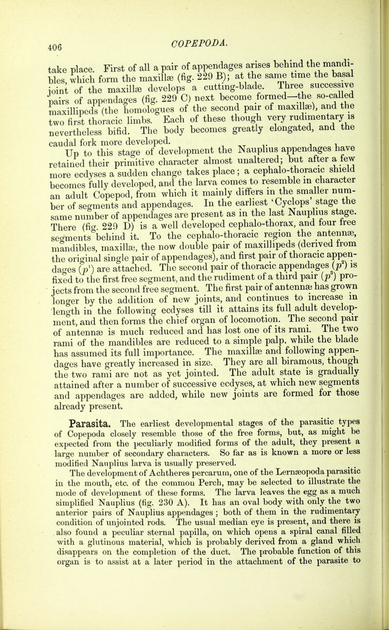 take place. First of all a pair of appendages arises behind the inandi- bles, which form the maxilla (fig. 229 B); at the same time the basal ioint of the maxilla develops a cuttmg-blade. Three success ve pairs of appendages (fig. 229 C) next become formed-the so-call^ maxillipeds (the homologues of the second pair of maxillse), and tlie two first thoracic limbs. Each of these though very rudimentary is nevertheless bifid. The body becomes greatly elongated, and the caudal fork more developed. , t j v. Up to this stage of development the Nauplius appendages have retained their primitive character almost unaltered; but alter a tew more ecdyses a sudden change takes place; a cephalo-thoracic shield becomes ifuUy developed, and the larva comes to resemble m character an adult Copepod, from which it mainly differs m the smaller num- ber of segments and appendages. In the earliest ' Cyclops stage the same number of appendages are present as in the ast Nauplius stage. There (fio- 229 D) is a well developed cephalo-thorax, and tour tree secrments^behind it. To the cephalo-thoracic region the antennae, mandibles, maxillse, the now double pair of maxillipeds (derived trom the original single pair of appendages), and first pair of thoracic appen- dacres («0 are attached. The second pair of thoracic appendages ^(p ) is fixed to the first free segment, and the rudiment of a third pair (p ) pro- jects from the second free segment. The first pair of antenna? has grown lono-er by the addition of new joints, and continues to increase in length in the following ecdyses till it attains its full adult develop- ment, and then forms the chief organ of locomotion. The second pair of antennse is much reduced and has lost one of its rami. The two rami of the mandibles are reduced to a simple palp, while the blade has assumed its full importance. The maxillae and following appen- dages have greatly increased in size. They are all biramous, though the two rami are not as yet jointed. The adult state is gradually attained after a number of successive ecdyses, at which new segments and appendages are added, while new joints are formed for those already present. Parasita. The earliest developmental stages of the parasitic types of Copepoda closely resemble those of the free forms, but, as might be expected from the peculiarly modified forms of the adult, they present a large number of secondary characters. So far as is known a more or less modified Nauplius larva is usually preserved. The development of Achtheres percarum, one of the Lernseopoda parasitic in the mouth, etc. of the commou Perch, may be selected to illustrate the mode of development of these forms. The larva leaves the egg as a much simplified Nauplius (fig. 230 A). It has an oval body with only the two anterior pairs of Nauplius appendages ; both of them in the rudimentary condition of unjointed rods. The usual median eye is present, and there is also found a peculiar sternal papilla, on which opens a spiral canal filled with a glutinous material, which is probably derived from a gland which disappears on the completion of the duct. The probable function of this organ is to assist at a later period in the attachment of the parasite to