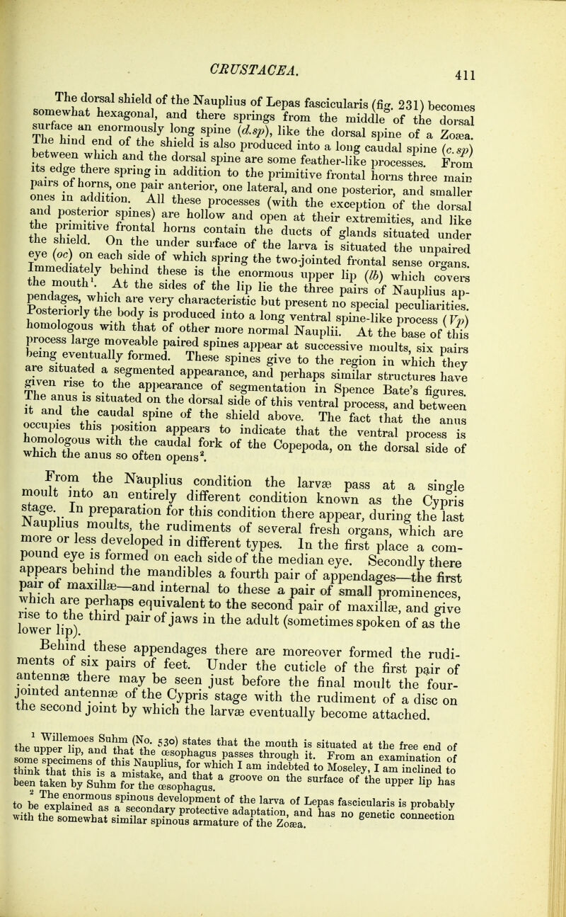 The do^al shield of the Nauplius of Lepas fascicularis (fig. 231) becomes somewhat hexagonal and there springs from the middle of the dS Ihe iimd end of the shield is also produced into a long caudal spine (c sp) It', ^ *•' ^.T^- ^P^ ^-^ f-ther-life processes Fr^^ mirs o?hi'n! P™'^** horns three main ones in addMoT T.l ^^ P^*^™'-' '^<1 ^^U^^ ones in addition All these processes (with the exception of the dorsal the TT r ^-^ °P^ ^* extremities, and Hke eve rt\ on e„ch ^^er surface of the larva is situated the unpaired iLiedltriv h I, .1 1 T'^ twcjointed frontal sense organs. Immediate y behind these is the enormous upper lip (lb) which covers the mouth- At the sides of the lip lie the three pairs of NaupliuTap! pendages which ai-e very characteristic but present no special pecuUar ties iPosteriorly the body is produced into a long ventral spine-like process ( Vp) homologous with that of other more normal Nauplii.*^ At the base of tHs process large moveable paired spines appear at successive moults six p^i^s being eventually formed. The.se spines%ive to the region in wMch they aiven rfs^ to* segmented appearance, and perhaps similar structures have ThTJZ \^^^^m^^nce of segmentation in Spence Bate's figures, ft an,rtV ff ''^^ ^'^ ventral process, and beLen occunL th-r .'P'^ '^'^'^ TJ'^ «hat the anus occupies this position appears to indicate that the ventral process is tsnfe^rL*otr;tsr *^^'''^^^*' - '--^ ^^^^ From the Nauplius condition the larvse pass at a sinde moult into an entirely different condition known as the Cvpris stage. In preparation for this condition there appear, during theLt Nauphus moults the rudiments of several fresh organs, which aTe more or less developed in different types. In the first pkce a com! pound eye is formed on each side of the median eye. Secondly there appears behind the mandibles a fourth pair of a/pendages-the first pair of ma^ilte-and internal to these a pair of small prominences. 7t T T ^.u T ^IT^lent to the second pair of maxilte, and give lower°lip) Pai^'ofjaws in the adult (sometimes spoken of as the Behind these appendages there are moreover formed the rudi- ments of SIX pairs of feet. Under the cuticle of the first pair of antenna there may be seen just before the final moult the four- jointed antenna of the Cypris stage with the rudiment of a disc on the second joint by which the larva; eventually become attached. been taken Jy'suhm for the isophagul ' ° '^^ PP^' ^^^ to 4?xpfSrf JZ„'/,r'°T'? °' fascicularis is probably
