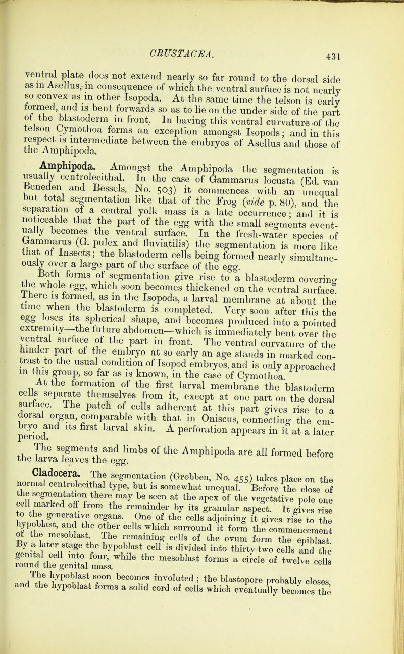 ventral plate does not extend nearly so far round to the dorsal side asm Asellus.in consequence of which the ventral surface is not nearly so convex as m other Isopoda. At the same time the telson is early lormed and is bent forwards so as to lie on the under side of the part ot the blastoderm m front, In having this ventral curvature-of the telson Cymothoa forms an exception amongst Isopods; and in this respect is mtermediate between the embryos of Asellus and those of the Amphipoda. Amphipoda. Amongst the Amphipoda the segmentation is usually centrolecithal. In the case of Gammarus locusta (Ed. van Beneden and Bessels, No. 503) it commences with an unequal but total segmentation like that of the Frog (vide p. 80), and the separation of a central yolk mass is a late occurrence ; and it is noticeable that the part of the egg with the small segments event- ually becomes the ventral surface. In the fresh-water species of b-ammarus (G. pulex and fluviatilis) the segmentation is more like that ot Insects; the blastoderm cells being formed nearly simultane- ously over a large part of the surface of the egg. Both forms of segmentation give rise to a blastoderm covering the whole egg, which soon becomes thickened on the ventral surface I here is formed, as in the Isopoda, a larval membrane at about the time when the blastoderm is completed. Very soon after this the egg loses Its spherical shape, and becomes produced into a pointed extremity—the future abdomen—which is immediately bent over the ventral surface of the part in front. The ventral curvature of the hmder part of the embryo at so early an age stands in marked con- trast to the usual condition of Isopod embryos, and is only approached m this group, so far as is known, in the case of Cymothoa At the formation of the first larval membrane the blastoderm cells separate themselves from it, except at one part on the dorsal surface. The patch of cells adherent at this part gives rise to a dorsal organ, comparable with that in Oniscus, connecting the em- ^liod ^^^^^^ ^^'''* ^ P^^^f^^ation appears in it at a later The segments and limbs of the Amphipoda are all formed before trie larva leaves the egg. Cladocera. The segmentation (Grobben, No. 455) takes place on the normal centrolecithal type, but is somewhat unequal. Before the close of the segmentation there may be seen at the apex of the vegetative pok one cell marked off from the remainder by its granular aspect. It gLs rise to the generative organs. One of the cells adjoining it gives rife to the hypoblast, and the other cells which surround it form thf commencem nt of the mesoblast The remaining cells of the ovum form the epiblasfc By a later stage the hypoblast cell is divided into thirty-two cells and the gemtal cell into four, while the mesoblast forms a circle of twelve ceUs round the genital mass. I'vvt^ive cens The hypoblast soon becomes involuted ; the blastopore probably closes and the hypoblast forms a sohd cord of cells which eve^ntu Jly beconier^