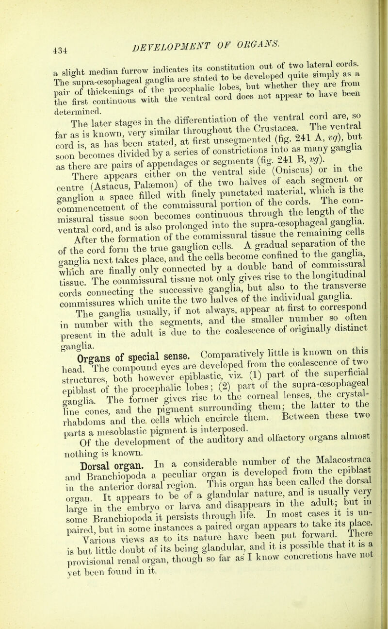 DEVELOPMENT OF ORGANS. ^'^'xhe kter stages in the differentiation of the ventral cord are so far Js iVknown very similar throughout the Crustacea^ The yentra rord is as has been stated, at first unsegmented_(fig. 241 A, vq), but ot bUnirdivided by a series of --trict o-^^^^^^^^^^^ gangha as there are pairs of appendages or segments (fig- 241 U, vg). rnmmencement of the commissural portion of the cords ine com XCl tissue soon becomes continuous through the length of he fll nard and is also prolon<;ed into the supra-ffisophageal gangl a. ''It th'; fia£ o'f the commissural tissue the remaining cells of the cord form the true ganglion cells. A gradual separation of the ot the cora lorm s 5 become confined to the ganglia, ^y a douWe band of commissura SsS. The comiliss/ral tissue not only gives -^^o the longitud na cords connecting the successive ganglia, but also to the tiansverse cornmissures which unite the two lialves of the individual ganglia. The ganglia usually, if not always, appear at first to correspond in number with the segments, and the smaller number so often pre^n^in the adult is due to the coalescence of originally distinct ^Orsans of special sense. Comparatively little is known on this head^The compound eyes are developed from the coalescence of two structures both however epiblastic, viz. (1) part of the superficia epiblast of the procephalic lobes; (2) part of the supra-oesophageal TnX The former gives rise to the corneal lenses the crystal- Ine cones and the pigment surrounding them; the latter to the Sbdoms and the celll which encircle them. Between these two r^arts a mesoblastic pigment is interposed. Of the development of the auditory and olfactory organs almost nothing is known. Dorsal orffan. In a considerable number of the Malacostraca and ranchSodk a pecuhar organ is developed froni the epiblas fn the anterl dorsal region. This organ has been called the dorsal o gan It appears to be of a glandular nature, and is dually ye y Lie in the embryo or larva and disappears m the adult; but in lome Branchiopodiit persists through life. In most cases , is un- paired, but in some instances a paired organ appears to take its place Various views as to its nature have been put forward. Ihere is but little doubt of its being glandular, and it is possible that it is a provisional renal organ, thoufh so far as I know concretions have not vet been fouDcl in it.