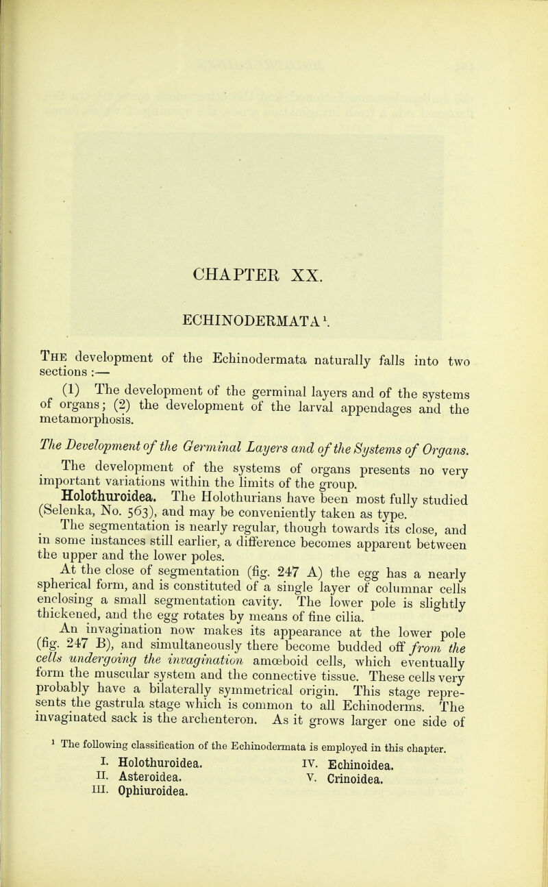 CHAPTER XX. ECHINODERMATA\ The development of the Echinodermata naturally falls into two sections (1) The development of the germinal layers and of the systems of organs; (2) the development of the larval appendages and the metamorphosis. The Development of the Germinal Layers and of the Systems of Organs. The development of the systems of organs presents no very important variations within the limits of the group. Holothuroidea. The Holothurians have been most fully studied (Selenka, No. 563), and may be conveniently taken as type. The segmentation is nearly regular, though towards its close, and m some mstances still earlier, a difference becomes apparent between the upper and the lower poles. At the close of segmentation (fig. 247 A) the egg has a nearly spherical form, and is constituted of a single layer of columnar cells enclosing a small segmentation cavity. The lower pole is shghtly thickened, and the egg rotates by means of fine cilia. An invagination now makes its appearance at the lower pole (fig. 247 B), and simultaneously there become budded off /rom the cells undergoing the invagination amoeboid cells, which eventually form the muscular system and the connective tissue. These cells very probably have a bilaterally symmetrical origin. This stage repre- sents the gastrula stage which is common to all Echinoderms. The invaginated sack is the archenteron. As it grows larger one side of 1 The following classification of the Echinodermata is employed in this chapter. I. Holothuroidea. IV. Echinoidea. n. Asteroidea. v. Crinoidea. in. Ophiuroidea.