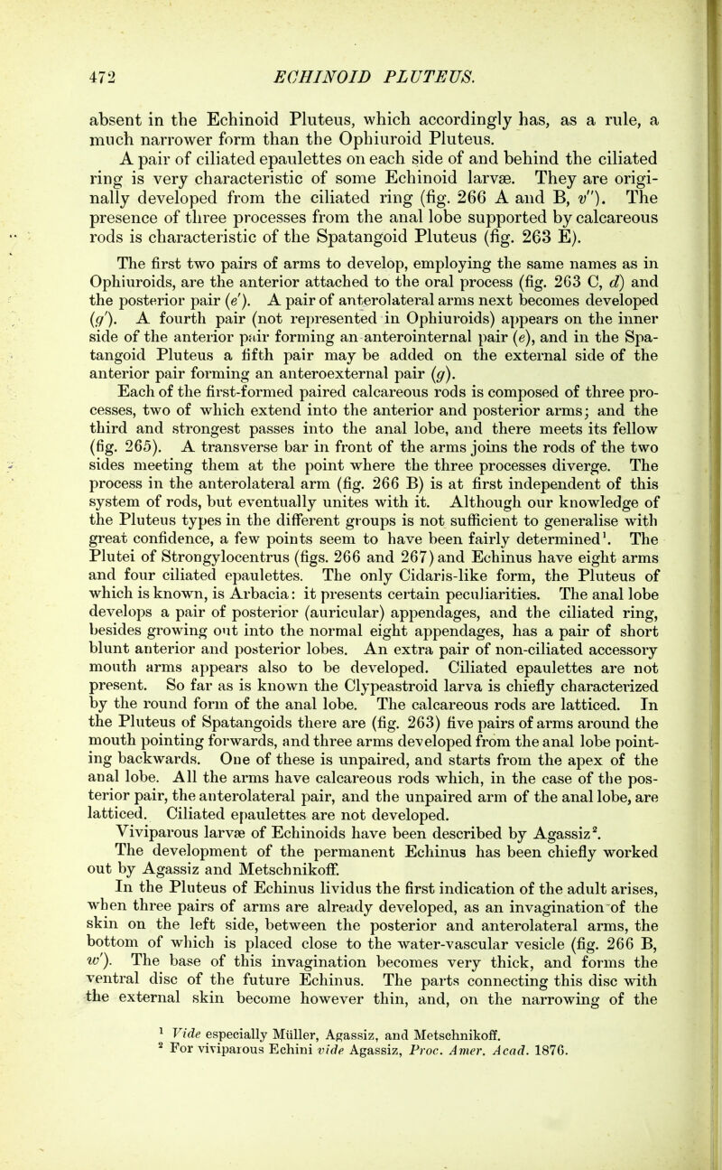 absent in the Echinoid Pluteus, which accordingly has, as a rule, a much narrower form than the Ophiuroid Pluteus. A pair of ciliated epaulettes on each side of and behind the ciliated ring is very characteristic of some Echinoid larvae. They are origi- nally developed from the ciliated ring (fig. 266 A and B, v). The presence of three processes from the anal lobe supported by calcareous rods is characteristic of the Spatangoid Pluteus (fig. 263 E). The first two pairs of arms to develop, employing the same names as in Ophiuroids, are the anterior attached to the oral process (fig. 263 C, d) and the posterior pair (e). A pair of anterolateral arms next becomes developed (g). A fourth pair (not represented in Ophiuroids) appears on the inner side of the anterior pair forming an anterointernal pair (e), and in the Spa- tangoid Pluteus a fifth pair may be added on the external side of the anterior pair forming an anteroexternal pair {g). Each of the first-formed paired calcareous rods is composed of three pro- cesses, two of which extend into the anterior and posterior arms; and the third and strongest passes into the anal lobe, and there meets its fellow (fig. 265). A transverse bar in front of the arms joins the rods of the two sides meeting them at the point where the three processes diverge. The process in the anterolateral arm (fig. 266 B) is at first independent of this system of rods, but eventually unites with it. Although our knowledge of the Pluteus types in the different groups is not sufiicient to generalise with great confidence, a few points seem to have been fairly determined'. The Plutei of Strongylocentrus (figs. 266 and 267) and Echinus have eight arms and four ciliated epaulettes. The only Cidaris-like form, the Pluteus of which is known, is Arbacia: it presents certain peculiarities. The anal lobe develops a pair of posterior (auricular) appendages, and the ciliated ring, besides growing out into the normal eight appendages, has a pair of short blunt anterior and posterior lobes. An extra pair of non-ciliated accessory mouth arms appears also to be developed. Ciliated epaulettes are not present. So far as is known the Clypeastroid larva is chiefly characterized by the round form of the anal lobe. The calcareous rods are latticed. In the Pluteus of Spatangoids there are (fig. 263) five pairs of arras around the mouth pointing forwards, and three arms developed from the anal lobe point- ing backwards. One of these is unpaired, and starts from the apex of the anal lobe. All the arms have calcareous rods which, in the case of the pos- terior pair, the anterolateral pair, and the unpaired arm of the anal lobe, are latticed. Ciliated epaulettes are not developed. Viviparous larvae of Echinoids have been described by Agassiz^. The development of the permanent Echinus has been chiefly worked out by Agassiz and Metschnikoff. In the Pluteus of Echinus lividus the first indication of the adult arises, when three pairs of arms are already developed, as an invagination of the skin on the left side, between the posterior and anterolateral arms, the bottom of which is placed close to the water-vascular vesicle (fig. 266 B, w'). The base of this invagination becomes very thick, and forms the ventral disc of the future Echinus. The parts connecting this disc with the external skin become however thin, and, on the narrowing of the ^ Vide especially Miiller, Agassiz, and Metschnikoff. 2 For viviparous Echini vide Agassiz, Froc. Anier. Acad. 1876.