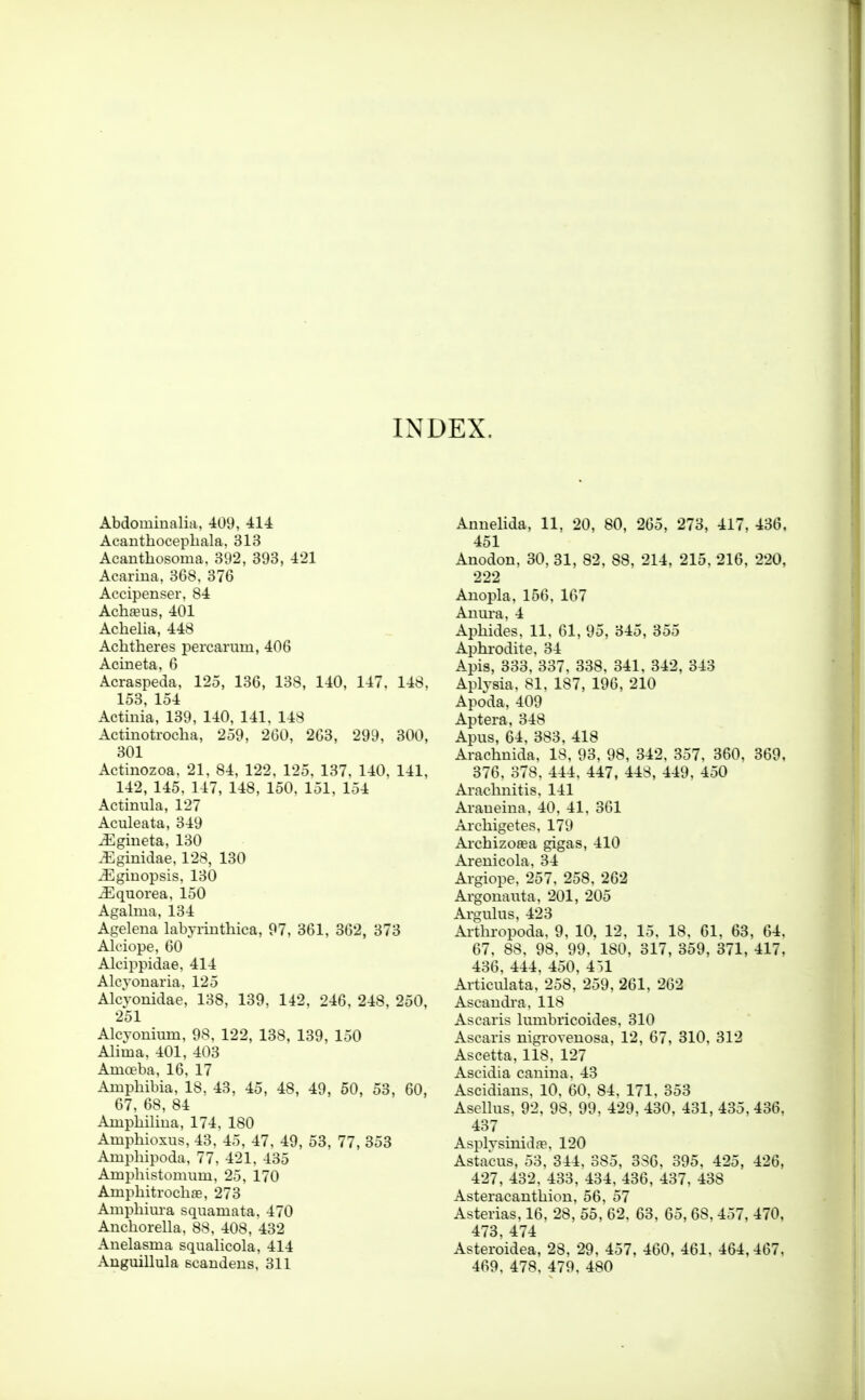 INDEX. Abdoininalia. 414 Acanthoceplirtla. 318 Acantbosoma. oi)2, 393, 421 Acariua, 368. 370 Accipenser. 84 Achanis, 401 Acbelia, 448 Achtheres percarum, 406 Acineta. 6 Acraspeda. 125, 136, 138, 140, 147. 148. 153. 154 Actinia, 139, 140. 141. 148 Actinotroeha. 259. 260, 263, 299, 300. 301 Actinozoa. 21. 84. 122. 125. 137. 140. 141. 142, 145. 147, 148. 150. 151. 154 Actinula, 127 Aculeata, 349 iEgiueta, 130 .Eginidae, 128, 130 .Egiuopsis. 130 .Equorea. 150 Agalma. 134 Agclcna labyriiitliica, 97, 361, 862, 373 Alc'iope, 60 Alcippidae, 414 Alcyouaria, 125 Alcyonidae, 138, 139. 142. 246. 248. 250. 251 Alcyonium, 98. 122, 138, 139, 150 Alima. 401, 403 Amoeba, 16, 17 Ampbibia, 18, 43. 45, 48, 49, 50, 53. 60, 67. 68. 84 Ampbilina, 174, 180 Ampbioxus. 43. 45. 47. 49, 53. 77, 353 Ampliipoda. 77. 421. 435 Ampbistonium. 25. 170 Ampbitrocbfe, 273 Ampbiura squamata, 470 Ancborella, 88, 408, 432 Anelasma squaUcola, 414 Anguillula scandeus. 311 Annelida, 11. 20, 80, 265, 273. 417, 436. 451 Anodon, 30. 31, 82, 88, 214, 215. 216, 220, 222 Anopbi, 156, 167 Anura. 4 Apbides. 11. 61. 95. 345, 355 Apbrodite, 34 Apis, 333, 337. 338, 341, 342, 343 Aplvsia, 81, 187, 196, 210 Apoda. 409 Aptera, 348 Apus, 64, 383, 418 Aracbnida. 1.^. 93. 98. 342. 357. 360. 369. 376. 378. 444. 447, 448, 449. 450 Aracbnitis. 141 Araueina. 40. 41. 361 Arebigotos. 179 Aiobizoa\i gigas. 410 Arenicobi. 34 Argiope. 257, 258. 262 Argonauta, 201, 205 Ai^nibis. 423 Artbropoda. 9. 10. 12. 15. 18. 61. 63. 64. 67. 88. 98. 99. 180. 317, 359. 371. 417. 436. 444. 450. 4M ArticiUata. 258. 259. 261. 262 Aseandra, lis Ascaris hmibricoides. 310 Ascaris nigrovouosa. 12. 67, 310. 312 Ascetta. 118. 127 Aseidia canina. 43 Ascidians. 10. 60. 84. 171. 353 Asolbis. 92. 98. 99. 429. 430. 431. 435. 436. 437 Asplysinid;v. 120 Asta'cus. 53. 344. 385, 38G, 395. 425. 426. 427. 432. 433. 434. 436, 437. 438 Asteracautbiou, 56, 57 Asterias, 16, 28. 55. 62. 63. 65. 68, 457. 470. 473. 474 Asteroidea, 28, 29. 457, 460. 461. 464.467. 469. 478. 479. 480