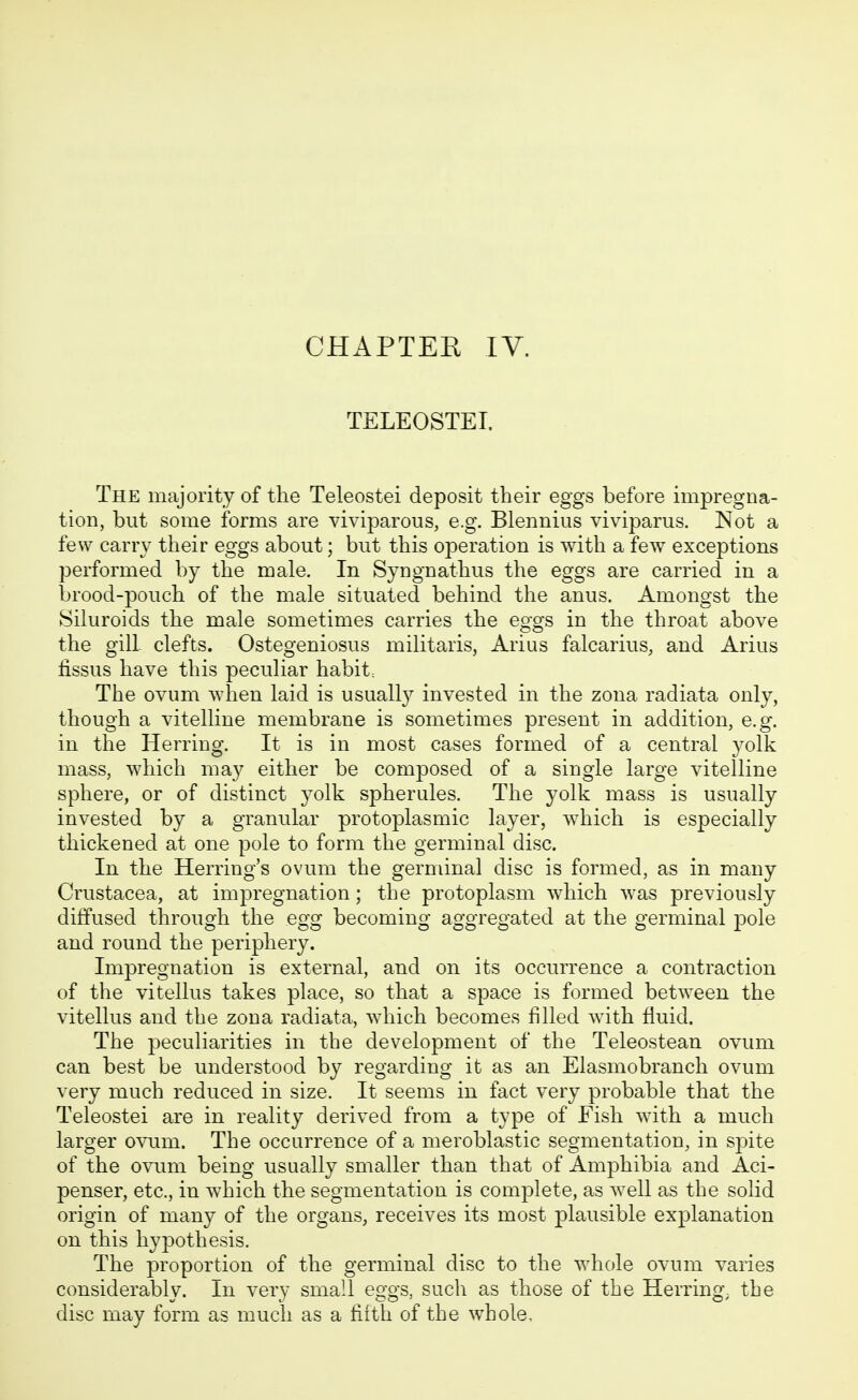CHAPTEH lY. TELEOSTEI. The majority of the Teleostei deposit their eggs before impregna- tion, but some forms are viviparous, e.g. Blennius viviparus. Not a few carry their eggs about; but this operation is with a few exceptions performed by the male. In Syngnathus the eggs are carried in a brood-pouch of the male situated behind the anus. Amongst the Siluroids the male sometimes carries the eggs in the throat above the gill clefts. Ostegeniosus militaris, Arius falcarius, and Arius hssus have this peculiar habit= The ovum when laid is usually invested in the zona radiata only, though a vitelline membrane is sometimes present in addition, e.g. in the Herring. It is in most cases formed of a central yolk mass, which ma}^ either be composed of a single large vitelline sphere, or of distinct yolk spherules. The yolk mass is usually invested by a granular protoplasmic layer, which is especially thickened at one pole to form the germinal disc. In the Herring's ovum the germinal disc is formed, as in many Crustacea, at impregnation; the protoplasm which was previously diffused through the egg becoming aggregated at the germinal pole and round the periphery. Impregnation is external, and on its occurrence a contraction of the vitellus takes place, so that a space is formed between the vitellus and the zona radiata, which becomes filled with fluid. The peculiarities in the development of the Teleostean ovum can best be understood by regarding it as an Elasmobranch ovum very much reduced in size. It seems in fact very probable that the Teleostei are in reality derived from a type of Fish with a much larger o^aim. The occurrence of a meroblastic segmentation, in spite of the ovum being usually smaller than that of Amphibia and Aci- penser, etc., in which the segmentation is complete, as Avell as the solid origin of many of the organs, receives its most plausible explanation on this hypothesis. The proportion of the germinal disc to the whole ovum varies considerably. In very small eggs, such as those of the Herring; the disc may form as much as a fifth of the whole.