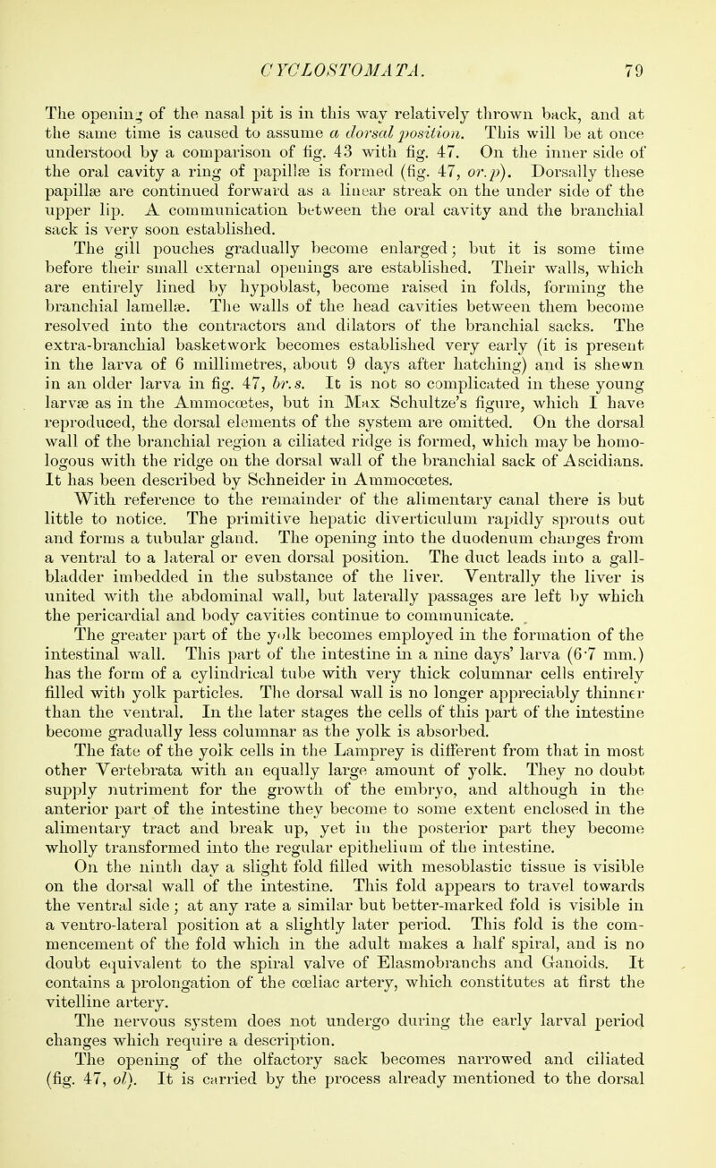 The openin:^ of the nasal pit is in this way relatively thrown back, and at the same time is caused to assume a dorsal 2)osition. This will be at once understood by a comparison of fig. 43 with fig. 47. On the inner side of the oral cavity a ring of papillae is formed (fig. 47, or.})). Dorsally these papillae are continued forward as a linear streak on the under side of the upper lip. A communication between the oral cavity and the branchial sack is very soon established. The gill pouches gradually become enlarged; but it is some time before their small external openings are established. Their walls, which are entirely lined by hypoblast, become raised in folds, forming the branchial lamellae. The walls of the head cavities between them become resolved into the contractors and dilators of the branchial sacks. The extra-branchial basketwork becomes established very early (it is present in the larva of 6 millimetres, about 9 days after hatching) and is shewn in an older larva in fig. 47, hr.s. It is nob so complicated in these young larvae as in the Ammocoetes, but in Max Schultze's figure, which I have reproduced, the dorsal elements of the system are omitted. On the dorsal wall of the branchial region a ciliated ridge is formed, which may be homo- logous with the ridge on the dorsal wall of the branchial sack of Ascidians. It has been described by Schneider in Ammocoites. With reference to the remainder of the alimentary canal there is but little to notice. The primitive hepatic diverticulum rapidly sprouts out and forms a tubular gland. The opening into the duodenum changes from a ventral to a lateral or even dorsal position. The duct leads into a gall- bladder imbedded in the substance of the liver. Ventrally the liver is united with the abdominal wall, but laterally passages are left by which the pericardial and body cavities continue to communicate. The greater part of the yolk becomes employed in the formation of the intestinal wall. This part of the intestine in a nine days' larva (67 mm.) has the form of a cylindrical tube with very thick columnar cells entirely filled with yolk particles. The dorsal wall is no longer appreciably thinner than the ventral. In the later stages the cells of this part of the intestine become gradually less columnar as the yolk is absorbed. The fate of the yolk cells in the Lamprey is different from that in most other Yertebrata with an equally large amount of yolk. They no doubt supply nutriment for the growth of the embryo, and although in the anterior part of the intestine they become to some extent enclosed in the alimentary tract and break up, yet in the posterior part they become wholly transformed into the regular epithelium of the intestine. On the ninth day a slight fold filled with mesoblastic tissue is visible on the dorsal wall of the intestine. This fold appears to travel towards the ventral side; at any rate a similar but better-marked fold is visible in a ventro-lateral position at a slightly later period. This fold is the com- mencement of the fold which in the adult makes a half spiral, and is no doubt e(|uivalent to the spiral valve of Elasmobranchs and Ganoids. It contains a prolongation of the coeliac artery, which constitutes at first the vitelline artery. The nervous system does not undergo during the early larval period changes which require a description. The opening of the olfactory sack becomes narrowed and ciliated (fig. 47, ol). It is carried by the process already mentioned to the dorsal