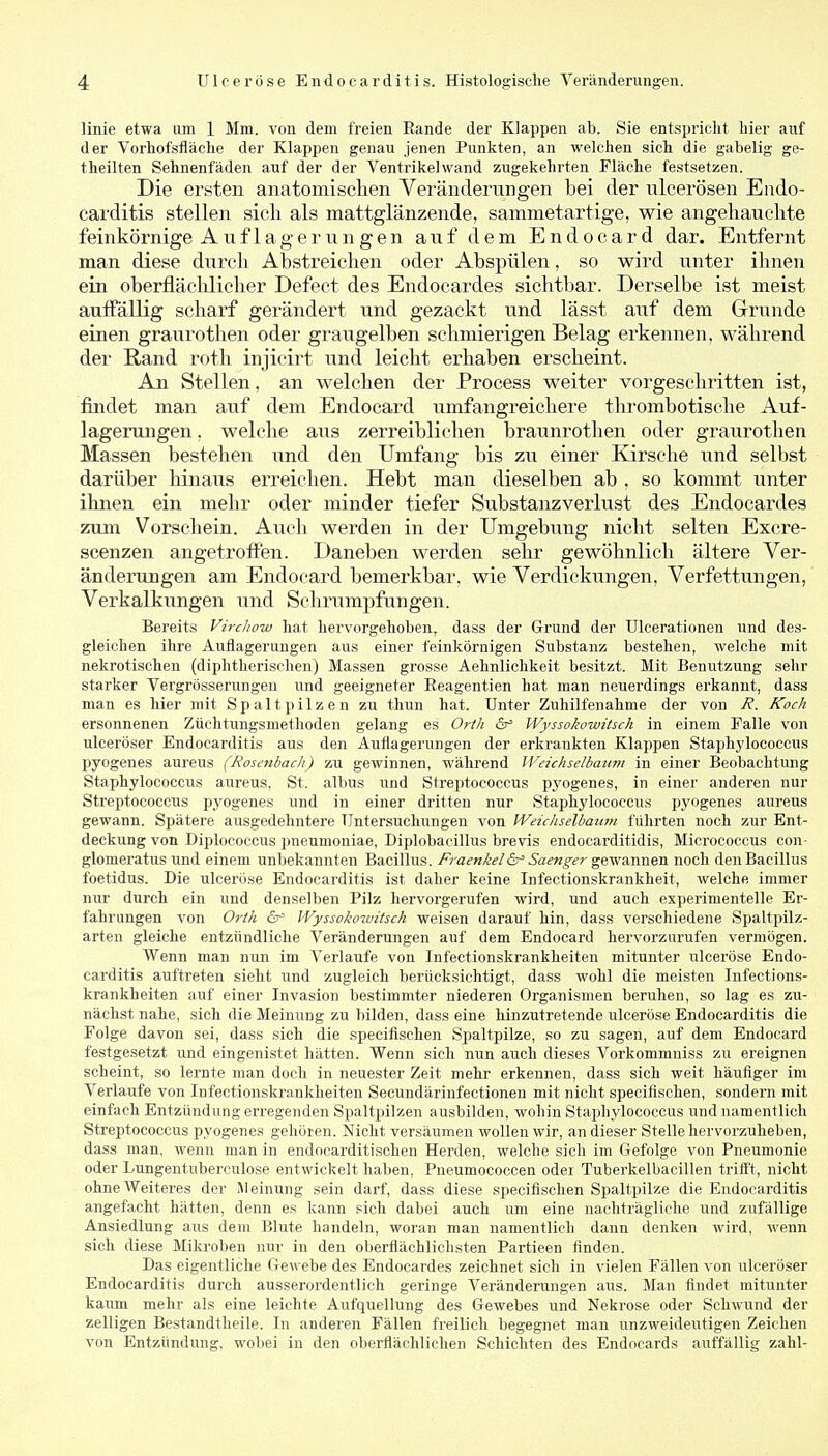 linie etwa um 1 Mm. von dem freien Rande der Klappen ab. Sie entspricht hier auf der Vorhofsfläclie der Klappen genau jenen Punkten, an welchen sich die gabelig ge- theilten Sehnenfäden auf der der Ventrikelwand zugekehrten Fläche festsetzen. Die ersten anatomisclien Veränderungen bei der ulcerösen Endo- carditis stellen sieli als mattglänzende, sammetartige, wie angehauelite feinkörnige Auf lag er nn gen auf dem Endocard dar. Entfernt man diese durch Abstreichen oder Abspülen, so wird unter ihnen ein oberflächlicher Defect des Endocardes sichtbar. Derselbe ist meist aufTdllig scharf gerändert und gezackt und lässt auf dem Grunde einen graurotlien oder graugelben schmierigen Belag erkennen, während der Rand roth injieirt und leicht erhaben erscheint. An Stellen, an welchen der Process weiter vorgeschritten ist, findet man auf dem Endocard umfangreichere thrombotische Auf- lagerungen . welche aus zerreiblichen braunrothen oder graurotlien Massen bestehen und den Umfang bis zu einer Kirsche und selbst darüber hinaus erreichen. Hebt man dieselben ab , so kommt unter ihnen ein mehr oder minder tiefer Substanzverlust des Endocardes zum Vorschein. Auch werden in der Umgebung nicht selten Excre- scenzen angetroffen. Daneben werden sehr gewöhnlich ältere Ver- änderungen am Endocard bemerkbar, wie Verdickungen, Verfettungen, Verkalkungen und Schrumpfungen. Bereits VircJiow hat hervorgehoben, dass der Grund der Ulcerationen und des- gleichen ihre Auflagerungen aus einer feinkörnigen Substanz bestehen, welche mit nekrotischen (diphtherischen) Massen grosse Aehnlichkeit besitzt. Mit Benutzung sehr starker Vergrösserungen und geeigneter Reagentien hat man neuerdings erkannt, dass man es hier mit Spaltpilzen zu thun hat. Unter Zuhilfenahme der von R. Koch ersonnenen Züchtungsmetlioden gelang es Orth &' Wyssokowitsch in einem Falle von ulceröser Endocarditis aus den Auflagerungen der erkrankten Klappen Staphylococcus pyogenes aureus (Rosenbach) zu gewinnen, während Weichselbaum in einer Beobachtung Staphylococcus aureus, St. albus und Streptococcus pyogenes, in einer anderen nur Streptococcus pyogenes und in einer dritten nur Staphylococcus pyogenes aureus gewann. Spätere ausgedehntere Untersuchungen von Weicliselbaum führten noch zur Ent- deckung von Diplococcus pneumoniae, Diplobacillus brevis endocarditidis, Micrococcus con- glomeratus und einem unbekannten Bacillus. Fraenkeldj^ Saenger ^&Tf,-a.m\&a. noch den Bacillus foetidus. Die ulceröse Endocarditis ist daher keine Infectionskrankheit, welche immer nur durch ein und denselben Pilz hervorgerufen wird, und auch experimentelle Er- fahrungen von Orth Gr^ Wyssokowitsch weisen darauf hin, dass vei'schiedene Spaltpilz- arten gleiche entzündliche Veränderungen auf dem Endocard hervorzurufen vermögen. Wenn man nun im Verlaufe von Infectionskrankheiten mitunter ulceröse Endo- carditis auftreten sieht und zugleich berücksichtigt, dass wohl die meisten Infections- krankheiten auf einer Invasion bestimmter niederen Organismen beruhen, so lag es zu- nächst nahe, sich die Meinung zu bilden, dass eine hinzutretende ulceröse Endocarditis die Folge davon sei, dass sich die speciflschen Spaltpilze, so zu sagen, auf dem Endocard festgesetzt und eingenistet hätten. Wenn sich nun auch dieses Vorkommniss zu ereignen scheint, so lernte man doch in neuester Zeit mehr erkennen, dass sich weit häufiger im Verlaufe von Infectionskrankheiten Secundärinfectionen mit nicht speciflschen, sondern mit einfach Entzündung erregenden Spaltpilzen ausbilden, wohin Staphylococcus und namentlich Streptococcus pyogenes gehören. Nicht versäumen wollen wir, an dieser Stelle hervorzuheben, da.ss man, wenn man in endocarditischen Herden, welche sich im Gefolge von Pneumonie oder Lungentuberculose entwickelt haben, Pneumococcen odei Tuberkelbacillen trifft, nicht ohne Weiteres der Meinung sein darf, dass diese .speciflschen Spaltpilze die Endocarditis angefacht hätten, denn es kann sich dabei auch um eine nachträgliche und zufällige Ansiedlung aus dem Blute handeln, woran man namentlich dann denken wird, wenn sich diese Mikroben nur in den oberflächlichsten Partieen flnden. Das eigentliche Gewebe des Endocardes zeichnet sich in vielen Fällen von ulceröser Endocarditis durch ausserordentlich geringe Veränderungen aus. Man flndet mitunter kaum mehr als eine leichte Aufquellung des Gewebes und Nekrose oder Schwund der zelligen Bestandtheile. In anderen Fällen freilich begegnet man unzweideutigen Zeichen von Entzündung, wobei in den oberflächlichen Schichten des Endocards auffällig zahl-