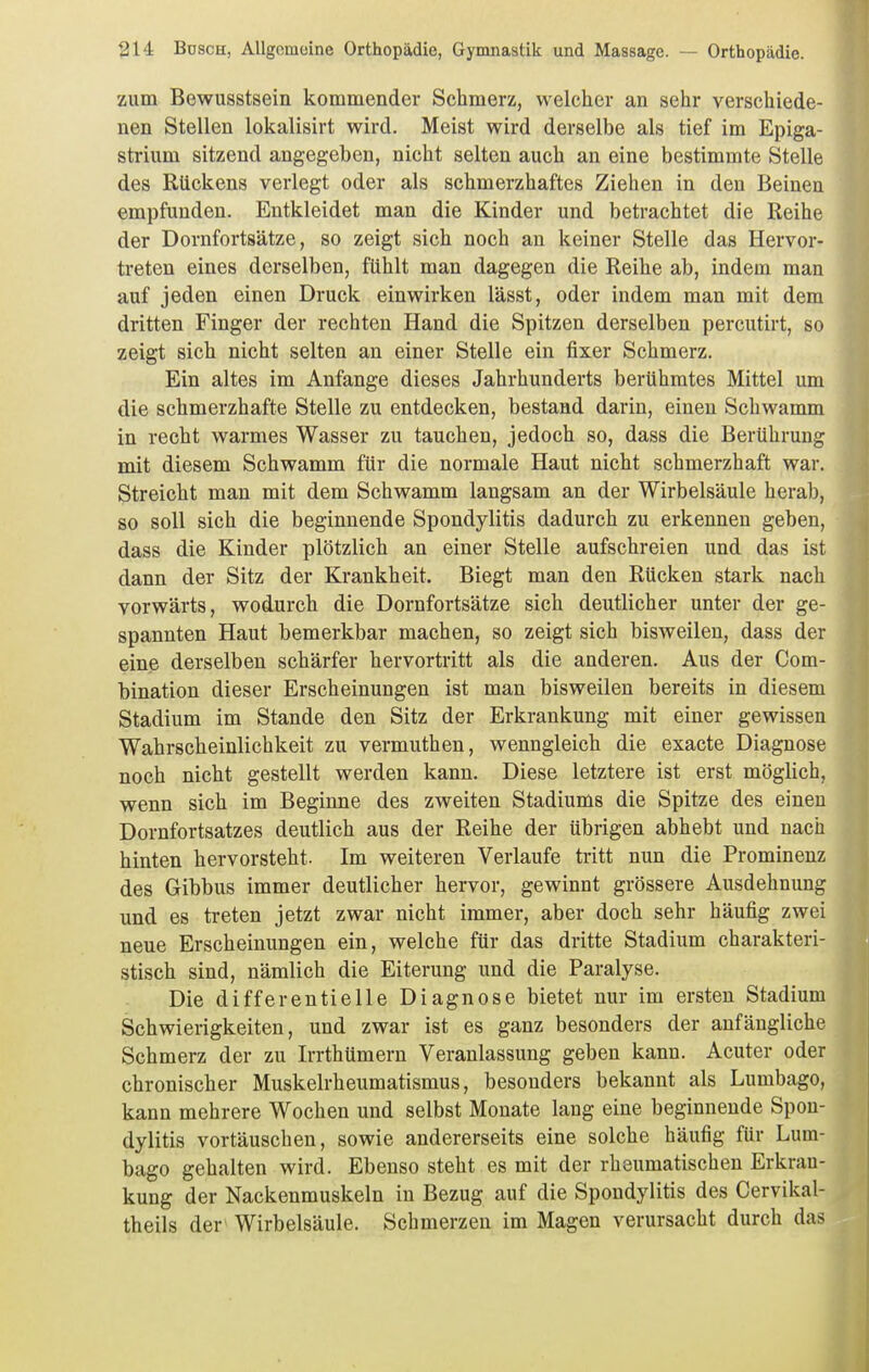 zum Bewusstsein kommender Schmerz, welcher an sehr verschiede- nen Stellen lokalisirt wird. Meist wird derselbe als tief im Epiga- strium sitzend angegeben, nicht selten auch an eine bestimmte Stelle des Rückens verlegt oder als schmerzhaftes Ziehen in den Beinen empfunden. Entkleidet man die Kinder und betrachtet die Reihe der Dornfortsätze, so zeigt sich noch an keiner Stelle das Hervor- treten eines derselben, fühlt man dagegen die Reihe ab, indem man auf jeden einen Druck einwirken l'ässt, oder indem man mit dem dritten Finger der rechten Hand die Spitzen derselben percutirt, so zeigt sich nicht selten an einer Stelle ein fixer Schmerz. Ein altes im Anfange dieses Jahrhunderts berühmtes Mittel um die schmerzhafte Stelle zu entdecken, bestand darin, einen Schwamm in recht warmes Wasser zu tauchen, jedoch so, dass die Berührung mit diesem Schwamm für die normale Haut nicht schmerzhaft war. Streicht man mit dem Schwamm langsam an der Wirbelsäule herab, so soll sich die beginnende Spondylitis dadurch zu erkennen geben, dass die Kinder plötzlich an einer Stelle aufschreien und das ist dann der Sitz der Krankheit. Biegt man den Rücken stark nach vorwärts, wodurch die Dornfortsätze sich deutlicher unter der ge- spannten Haut bemerkbar machen, so zeigt sich bisweilen, dass der eine derselben schärfer hervortritt als die anderen. Aus der Com- bination dieser Erscheinungen ist man bisweilen bereits in diesem Stadium im Stande den Sitz der Erkrankung mit einer gewissen Wahrscheinlichkeit zu vermuthen, wenngleich die exacte Diagnose noch nicht gestellt werden kann. Diese letztere ist erst möglich, wenn sich im Beginne des zweiten Stadiums die Spitze des einen Dornfortsatzes deutlich aus der Reihe der übrigen abhebt und nach hinten hervorsteht. Im weiteren Verlaufe tritt nun die Prominenz des Gibbus immer deutlicher hervor, gewinnt grössere Ausdehnung und es treten jetzt zwar nicht immer, aber doch sehr häufig zwei neue Erscheinungen ein, welche für das dritte Stadium charakteri- stisch sind, nämlich die Eiterung und die Paralyse. Die differentielle Diagnose bietet nur im ersten Stadium Schwierigkeiten, und zwar ist es ganz besonders der anfängliche Schmerz der zu Irrthümern Veranlassung geben kann. Acuter oder chronischer Muskelrheumatismus, besonders bekannt als Lumbago, kann mehrere Wochen und selbst Monate lang eine beginnende Spon- dylitis vortäuschen, sowie andererseits eine solche häufig für Lum- bago gehalten wird. Ebenso steht es mit der rheumatischen Erkran- kung der Nackenmuskeln in Bezug auf die Spondylitis des Cervikal- theils der Wirbelsäule. Schmerzen im Magen verursacht durch das