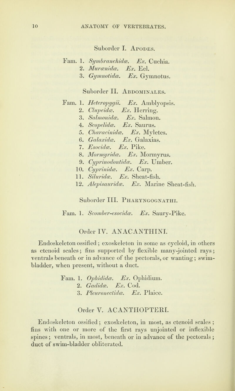 Suborder I. Apodes. Fam. 1. Symbranchidce. Ex. Cuchia. 2. Murcenidce. Ex. Eel. 3. Gymnotidce. Ex. Gymnotus. Suborder II. Abdominales. Fam. 1. Heteropygii. Ex. Amblyopsis. 2. Clupeidoe. Ex. Herring. 3. Salmonidce. Ex. Salmon. 4. Scopelidce. Ex. Saurus. 5. CharacinidfB. Ex. Myletes. 6. Galaxidce. Ex. Galaxias. 7. Esocidce. Ex. Pike. 8. Mormyridce. Ex. Mormyrus. 9. Cyprinodontidoe. Ex. Umber. 10. CyprinidcB. Ex. Carp. 11. Siluridce. Ex. Sheat-fish. 12. Alepisaurida. Ex. Marine Sheat-fish. Suborder III. Pharyngognathi. Fam. 1. Scomber-esocidce. Ex. Saury-Pike. Orderly. ANACANTHINI. Endoskeleton ossified; exoskeleton in some as cycloid, in others as ctenoid scales; fins supported by flexible many-jointed rays; ventrals beneath or in advance of the pectorals, or wanting; swim- bladder, when present, without a duct. Fam. 1. Opliididce. Ex. Ophidium. 2. Gadidos. Ex. Cod. 3. Pleuronectidce. Ex. Plaice. Order V. ACANTHOPTERI. Endoskeleton ossified; exoskeleton, in most, as ctenoid scales ; fins with one or more of the first rays unjointed or inflexible spines; ventrals, in most, beneath or in advance of the pectorals; duct of swim-bladder obliterated.