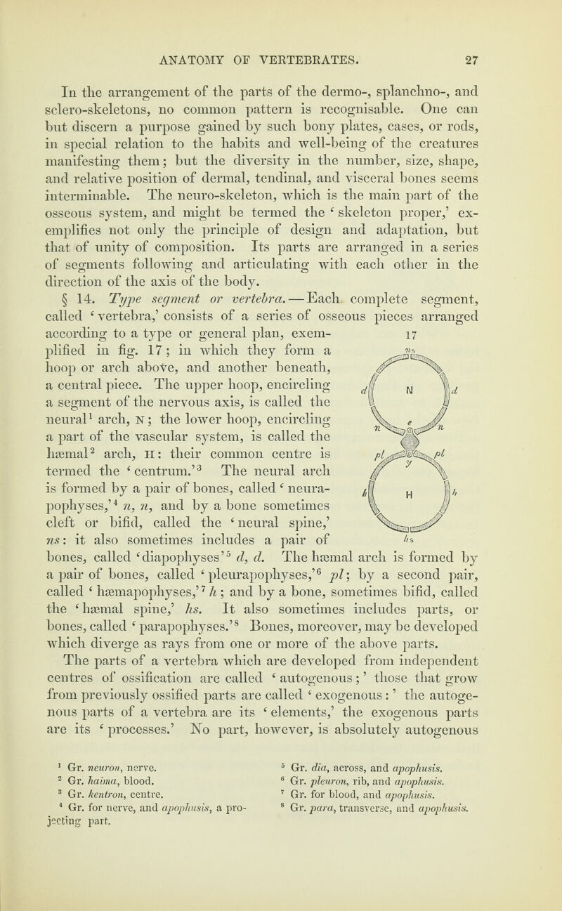 In the arrangement of the parts of the dermo-, splanchno-, and sclero-skeletons, no common pattern is recognisable. One can but discern a purpose gained by such bony plates, cases, or rods, in special relation to the habits and well-being of the creatures manifesting them; but the diversity in the number, size, shape, and relative position of dermal, tendinal, and visceral bones seems interminable. The neuro-skeleton, which is the main part of the osseous system, and might be termed the f skeleton proper,’ ex¬ emplifies not only the principle of design and adaptation, but that of unity of composition. Its parts are arranged in a series of segments following and articulating with each other in the O o O direction of the axis of the body. § 14. Type segment or vertebra. — Each, complete segment, called f vertebra,’ consists of a series of osseous pieces arranged according to a type or general plan, exem¬ plified in fig. 17; in which they form a hoop or arch above, and another beneath, a central piece. The upper hoop, encircling a segment of the nervous axis, is called the neural1 arch, N; the lower hoop, encircling a part of the vascular system, is called the haemal2 arch, h: their common centre is termed the f centrum.’3 The neural arch is formed by a pair of bones, called f neura- pophyses,’4 n} n, and by a bone sometimes cleft or bifid, called the f neural spine,’ ns: it also sometimes includes a pair of bones, called ‘ diapophyses ’5 d, d. The haemal arch is formed by a pair of bones, called f pleurapophyses,’6 pi; by a second pair, called f haemapophyses,’7 h ; and by a bone, sometimes bifid, called the c haemal spine,’ hs. It also sometimes includes parts, or bones, called 6parapophyses.’8 Bones, moreover, may be developed which diverge as rays from one or more of the above parts. The parts of a vertebra which are developed from independent centres of ossification are called ‘ autogenous ; ’ those that grow from previously ossified parts are called f exogenous : ’ the autoge¬ nous parts of a vertebra are its elements,’ the exogenous parts are its c processes.’ No part, however, is absolutely autogenous 17 1 Gr. neuron, nerve. 2 Gr. haima, blood. 3 Gr. kentron, centre. 4 Gr. for nerve, and apophusis, a pro¬ jecting part. 5 Gr. dia, across, and apophusis. 6 Gr. pleuron, rib, and apophusis. 7 Gr. for blood, and apophusis. 8 Gr. para, transverse, and apophusis.