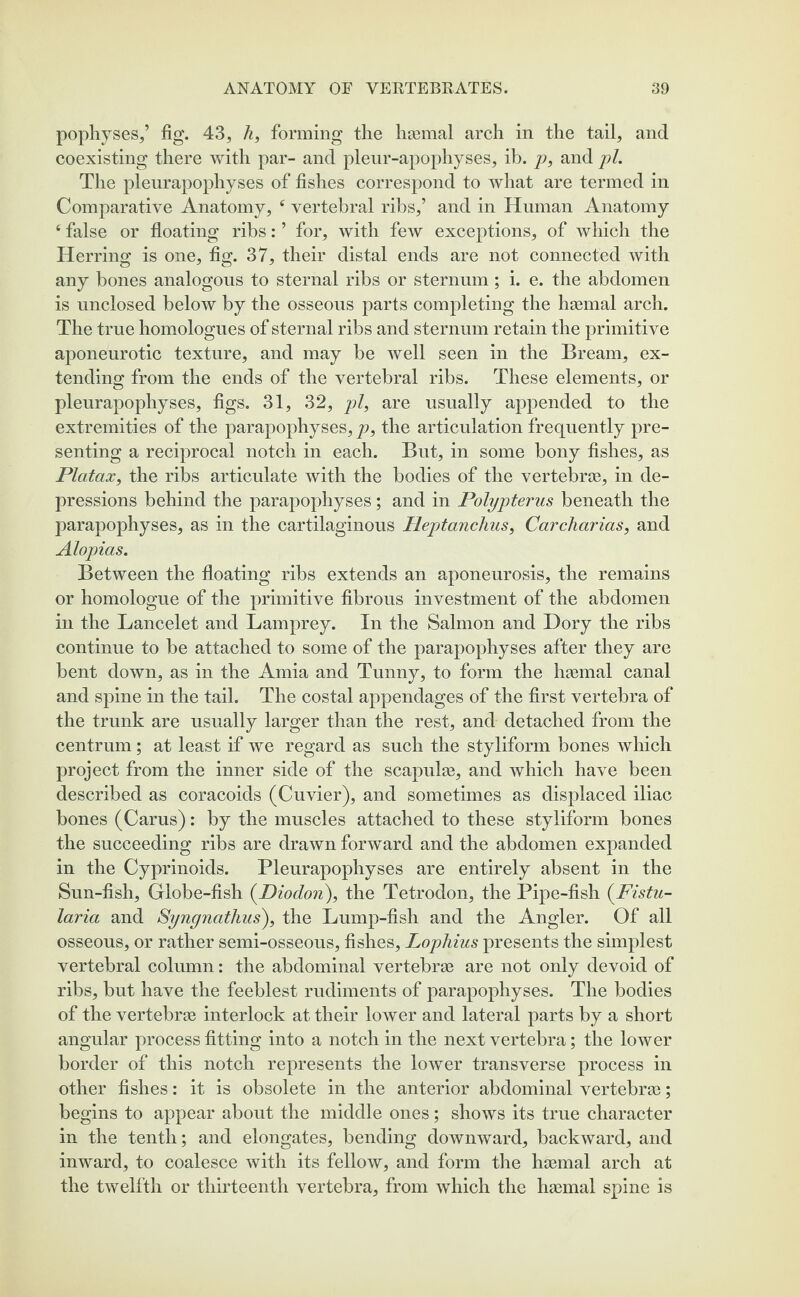 pophyses,’ fig. 43, A, forming the haemal arch in the tail, and coexisting there with par- and pleur-apophyses, ib. p, and pi. The pleurapophyses of fishes correspond to what are termed in Comparative Anatomy, 4 vertebral ribs,’ and in Human Anatomy 4 false or floating ribs: ’ for, with few exceptions, of which the Herring is one, fig. 37, their distal ends are not connected with any bones analogous to sternal ribs or sternum ; i. e. the abdomen is unclosed below by the osseous parts completing the haemal arch. The true homologues of sternal ribs and sternum retain the primitive aponeurotic texture, and may be well seen in the Bream, ex¬ tending from the ends of the vertebral ribs. These elements, or pleurapophyses, figs. 31, 32, pi, are usually appended to the extremities of the parapophyses, p, the articulation frequently pre¬ senting a reciprocal notch in each. But, in some bony fishes, as Platax, the ribs articulate with the bodies of the vertebras, in de¬ pressions behind the parapophyses; and in Polypterus beneath the parapophyses, as in the cartilaginous Hepjtanchus, Carcharias, and Alopias. Between the floating ribs extends an aponeurosis, the remains or homologue of the primitive fibrous investment of the abdomen in the Lancelet and Lamprey. In the Salmon and Dory the ribs continue to be attached to some of the parapophyses after they are bent down, as in the Amia and Tunny, to form the haemal canal and spine in the tail. The costal appendages of the first vertebra of the trunk are usually larger than the rest, and detached from the centrum; at least if we regard as such the styliform bones which project from the inner side of the scapulae, and which have been described as coracoids (Cuvier), and sometimes as displaced iliac bones (Carus): by the muscles attached to these styliform bones the succeeding ribs are drawn forward and the abdomen expanded in the Cyprinoids. Pleurapophyses are entirely absent in the Sun-fish, Globe-fish (Diodon), the Tetrodon, the Pipe-fish (Fistu- laria and Syngnathus), the Lump-fish and the Angler. Of all osseous, or rather semi-osseous, fishes, Lophius presents the simplest vertebral column: the abdominal vertebrae are not only devoid of ribs, but have the feeblest rudiments of parapophyses. The bodies of the vertebrae interlock at their lower and lateral parts by a short angular process fitting into a notch in the next vertebra; the lower border of this notch represents the lower transverse process in other fishes: it is obsolete in the anterior abdominal vertebrae; begins to appear about the middle ones; shows its true character in the tenth; and elongates, bending downward, backward, and inward, to coalesce with its fellow, and form the haemal arch at the twelfth or thirteenth vertebra, from which the haemal spine is