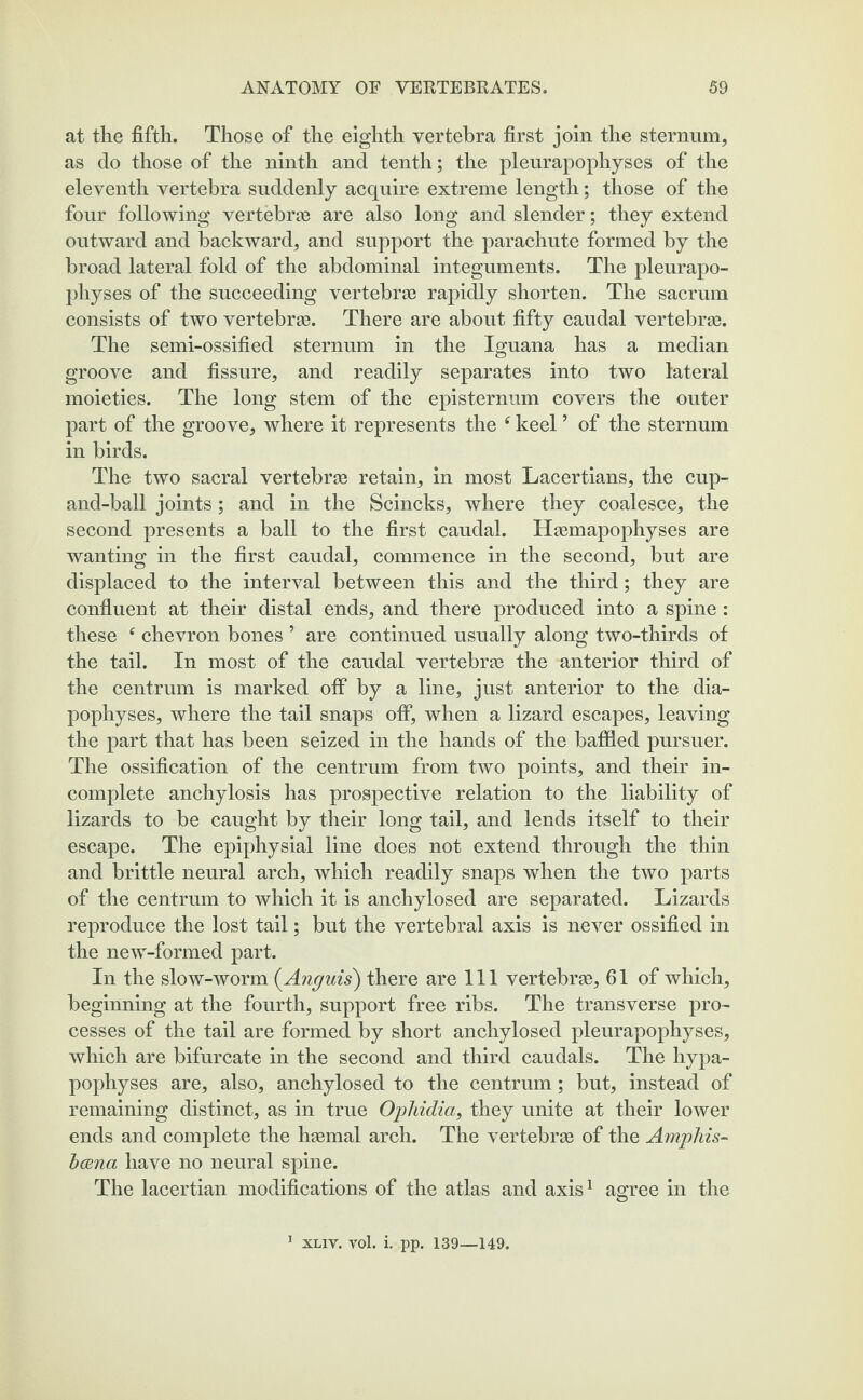 at the fifth. Those of the eighth vertebra first join the sternum, as do those of the ninth and tenth; the pleurapophyses of the eleventh vertebra suddenly acquire extreme length; those of the four following vertebra are also long and slender; they extend outward and backward, and support the parachute formed by the broad lateral fold of the abdominal integuments. The pleurapo¬ physes of the succeeding vertebrae rapidly shorten. The sacrum consists of two vertebrae. There are about fifty caudal vertebrae. The semi-ossified sternum in the Iguana has a median groove and fissure, and readily separates into two lateral moieties. The long stem of the episternum covers the outer part of the groove, where it represents the 6 keel5 of the sternum in birds. The two sacral vertebrae retain, in most Lacertians, the cup- and-ball joints; and in the Scincks, where they coalesce, the second presents a ball to the first caudal. Haemapophyses are wanting in the first caudal, commence in the second, but are displaced to the interval between this and the third; they are confluent at their distal ends, and there produced into a spine : these e chevron bones ’ are continued usually along two-thirds of the tail. In most of the caudal vertebras the anterior third of the centrum is marked off by a line, just anterior to the dia¬ pophyses, where the tail snaps off, when a lizard escapes, leaving the part that has been seized in the hands of the baffled pursuer. The ossification of the centrum from two points, and their in¬ complete anchylosis has prospective relation to the liability of lizards to be caught by their long tail, and lends itself to their escape. The epiphysial line does not extend through the thin and brittle neural arch, which readily snaps when the two parts of the centrum to which it is anchylosed are separated. Lizards reproduce the lost tail; but the vertebral axis is never ossified in the new-formed part. In the slow-worm (Anguis) there are 111 vertebrae, 61 of which, beginning at the fourth, support free ribs. The transverse pro¬ cesses of the tail are formed by short anchylosed pleurapophyses, which are bifurcate in the second and third caudals. The hypa- pophyses are, also, anchylosed to the centrum; but, instead of remaining distinct, as in true Ophidia, they unite at their lower ends and complete the haemal arch. The vertebrae of the Amphis- bana have no neural spine. The lacertian modifications of the atlas and axis1 agree in the 1 xliv. vol. i. pp. 139—149.