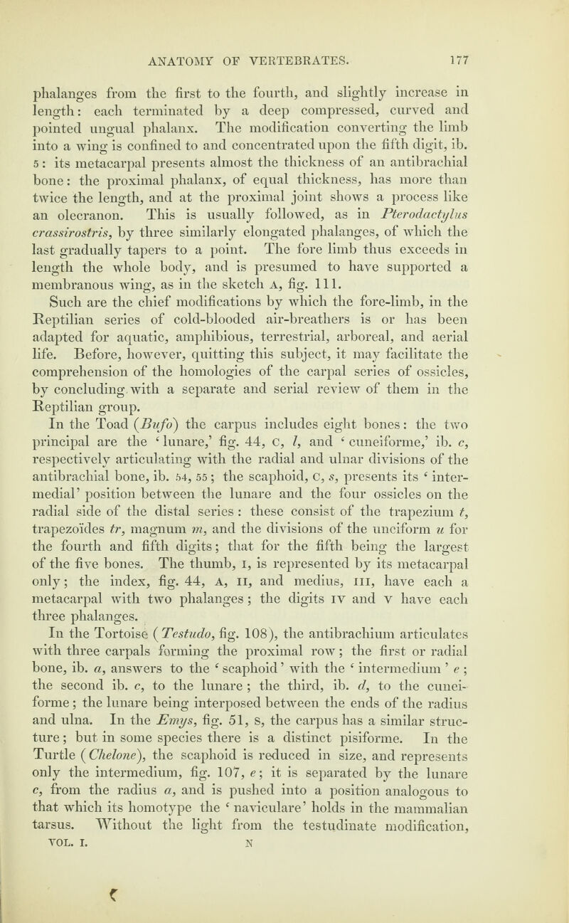 phalanges from the first to the fourth, and slightly increase in length: each terminated by a deep compressed, curved and pointed ungual phalanx. The modification converting the limb into a wing is confined to and concentrated upon the fifth digit, ib. 5: its metacarpal presents almost the thickness of an antibrachial bone: the proximal phalanx, of equal thickness, has more than twice the length, and at the proximal joint shows a process like an olecranon. This is usually followed, as in Pterodactylus crassirostris, by three similarly elongated phalanges, of which the last gradually tapers to a point. The fore limb thus exceeds in length the whole body, and is presumed to have supported a membranous wing, as in the sketch A, fig. 111. Such are the chief modifications by which the fore-limb, in the Reptilian series of cold-blooded air-breathers is or has been adapted for aquatic, amphibious, terrestrial, arboreal, and aerial life. Before, however, quitting this subject, it may facilitate the comprehension of the homologies of the carpal series of ossicles, by concluding with a separate and serial review of them in the Reptilian group. In the Toad (Bufo) the carpus includes eight bones: the two principal are the c lunare,’ fig. 44, C, l, and cuneiforme,’ ib. c, respectively articulating with the radial and ulnar divisions of the antibrachial bone, ib. 64, 55 ; the scaphoid, C, s, presents its 4 inter- medial’ position between the lunare and the four ossicles on the radial side of the distal series : these consist of the trapezium t, trapezoides tr, magnum m, and the divisions of the unciform u for the fourth and fifth digits; that for the fifth being the largest of the five bones. The thumb, i, is represented by its metacarpal only; the index, fig. 44, A, n, and medius, ill, have each a metacarpal with two phalanges; the digits iv and v have each three phalanges. In the Tortoise ( Testudo, fig. 108), the antibrachium articulates with three carpals forming the proximal row; the first or radial bone, ib. a, answers to the tf scaphoid ’ with the ‘ intermedium ’ e ; the second ib. c, to the lunare ; the third, ib. d, to the cunei¬ forme ; the lunare being interposed between the ends of the radius and ulna. In the Emys, fig. 51, S, the carpus has a similar struc¬ ture ; but in some species there is a distinct pisiforme. In the Turtle (Chelone), the scaphoid is reduced in size, and represents only the intermedium, fig. 107, e\ it is separated by the lunare c, from the radius a, and is pushed into a position analogous to that which its homotype the c naviculare ’ holds in the mammalian tarsus. Without the light from the testudinate modification, VOL. I. N C