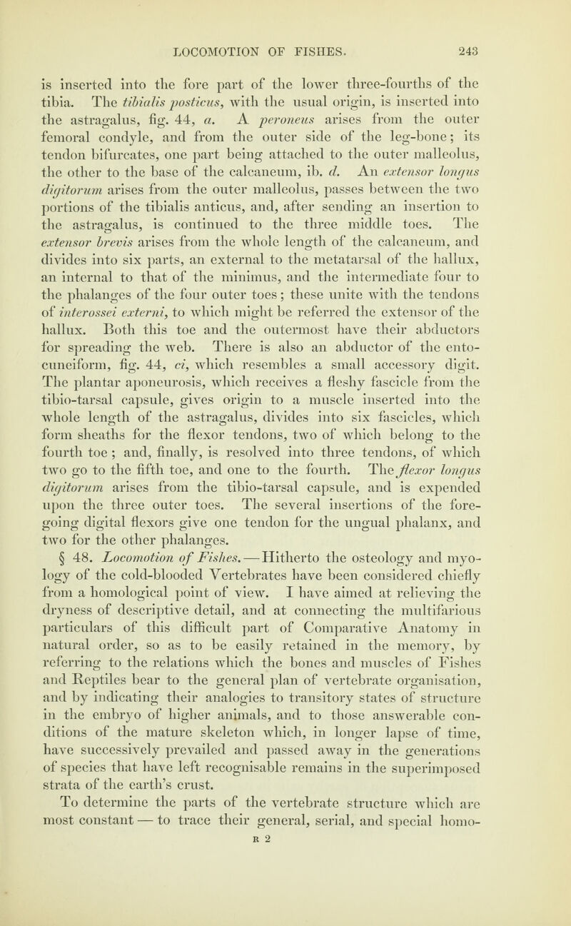 is inserted into the fore part of the lower three-fourths of the tibia. The tibialis posticus, with the usual origin, is inserted into the astragalus, fig. 44, a. A peroneus arises from the outer femoral condyle, and from the outer side of the leg-bone; its tendon bifurcates, one part being attached to the outer malleolus, the other to the base of the calcaneum, ib. d. An extensor longus digitorum arises from the outer malleolus, passes between the two portions of the tibialis anticus, and, after sending an insertion to the astragalus, is continued to the three middle toes. The extensor brevis arises from the whole length of the calcaneum, and divides into six parts, an external to the metatarsal of the hallux, an internal to that of the minimus, and the intermediate four to the phalanges of the four outer toes; these unite with the tendons of interossei externi, to which might be referred the extensor of the hallux. Both this toe and the outermost have their abductors for spreading the web. There is also an abductor of the ento- cuneiform, fig. 44, ci, which resembles a small accessory digit. The plantar aponeurosis, which receives a fleshy fascicle from the tibio-tarsal capsule, gives origin to a muscle inserted into the whole length of the astragalus, divides into six fascicles, which form sheaths for the flexor tendons, two of which belong to the fourth toe ; and, finally, is resolved into three tendons, of which two go to the fifth toe, and one to the fourth. The flexor longus digitorum arises from the tibio-tarsal capsule, and is expended upon the three outer toes. The several insertions of the fore¬ going digital flexors give one tendon for the ungual phalanx, and two for the other phalanges. § 48. Locomotion of Fishes.—Hitherto the osteology and myo- logy of the cold-blooded Vertebrates have been considered chiefly from a homological point of view. I have aimed at relieving the dryness of descriptive detail, and at connecting the multifarious particulars of this difficult part of Comparative Anatomy in natural order, so as to be easily retained in the memory, by referring to the relations which the bones and muscles of Fishes and Reptiles bear to the general plan of vertebrate organisation, and by indicating their analogies to transitory states of structure in the embryo of higher animals, and to those answerable con¬ ditions of the mature skeleton which, in longer lapse of time, have successively prevailed and passed away in the generations of species that have left recognisable remains in the superimposed strata of the earth’s crust. To determine the parts of the vertebrate structure which are most constant — to trace their general, serial, and special homo-