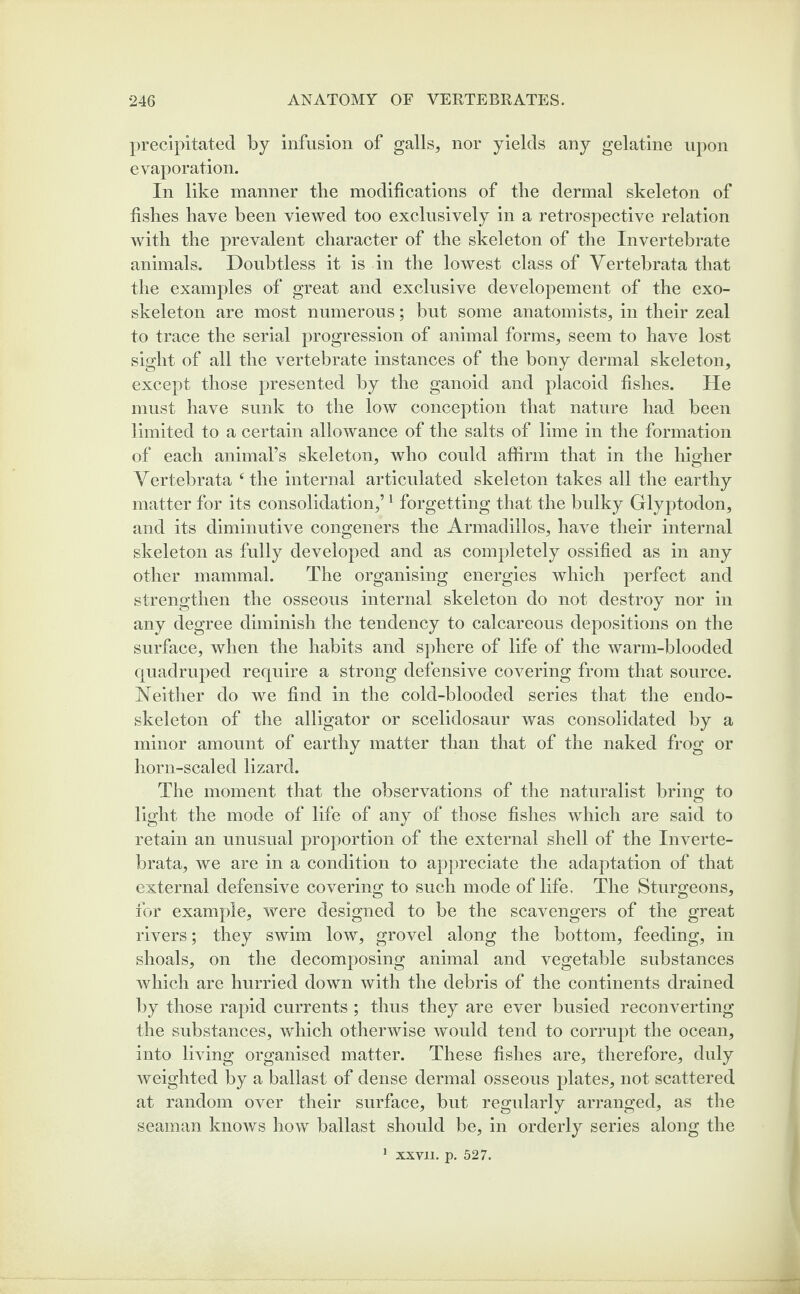 precipitated by infusion of galls, nor yields any gelatine upon evaporation. In like manner tbe modifications of the dermal skeleton of fishes have been viewed too exclusively in a retrospective relation with the prevalent character of the skeleton of the Invertebrate animals. Doubtless it is in the lowest class of Vertebrata that the examples of great and exclusive developement of the exo¬ skeleton are most numerous; but some anatomists, in their zeal to trace the serial progression of animal forms, seem to have lost sight of all the vertebrate instances of the bony dermal skeleton, except those presented by the ganoid and placoid fishes. He must have sunk to the low conception that nature had been limited to a certain allowance of the salts of lime in the formation of each animal’s skeleton, who could affirm that in the higher Vertebrata f the internal articulated skeleton takes all the earthy matter for its consolidation,’1 forgetting that the bulky Glyptodon, and its diminutive congeners the Armadillos, have their internal skeleton as fully developed and as completely ossified as in any other mammal. The organising energies which perfect and strengthen the osseous internal skeleton do not destroy nor in any degree diminish the tendency to calcareous depositions on the surface, when the habits and sphere of life of the warm-blooded quadruped require a strong defensive covering from that source. Neither do we find in the cold-blooded series that the endo- skeleton of the alligator or scelidosaur was consolidated by a minor amount of earthy matter than that of the naked frog or horn-scaled lizard. The moment that the observations of the naturalist bring to light the mode of life of any of those fishes which are said to retain an unusual proportion of the external shell of the Inverte- brata, we are in a condition to appreciate the adaptation of that external defensive covering to such mode of life. The Sturgeons, for example, were designed to be the scavengers of the great rivers; they swim low, grovel along the bottom, feeding, in shoals, on the decomposing animal and vegetable substances which are hurried down with the debris of the continents drained by those rapid currents ; thus they are ever busied reconverting the substances, which otherwise would tend to corrupt the ocean, into living organised matter. These fishes are, therefore, duly weighted by a ballast of dense dermal osseous plates, not scattered at random over their surface, but regularly arranged, as the seaman knows how ballast should be, in orderly series along the 1 xxvn. p. 527.