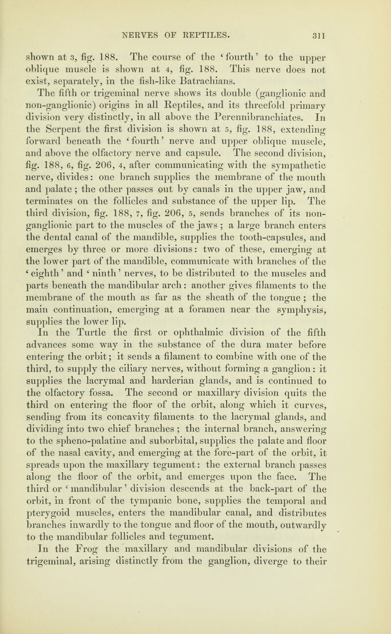 shown at 3, fig. 188. The course of the cfourth’ to the upper oblique muscle is shown at 4, fig. 188. This nerve does not exist, separately, in the fish-like Batrachians. The fifth or trigeminal nerve shows its double (ganglionic and non-ganglionic) origins in all Reptiles, and its threefold primary- division very distinctly, in all above the Perennibranchiates. In the Serpent the first division is shown at 5, fig. 188, extending forward beneath the f fourth ’ nerve and upper oblique muscle, and above the olfactory nerve and capsule. The second division, fig. 188, 6, fig. 206, 4, after communicating with the sympathetic nerve, divides: one branch supplies the membrane of the mouth and palate ; the other passes out by canals in the upper jaw, and terminates on the follicles and substance of the upper lip. The third division, fig. 188, 7, fig. 206, 5, sends branches of its non- ganglionic part to the muscles of the jaws ; a large branch enters the dental canal of the mandible, supplies the tooth-capsules, and emerges by three or more divisions: two of these, emerging at the lower part of the mandible, communicate with branches of the e eighth ’ and 4 ninth ’ nerves, to be distributed to the muscles and parts beneath the mandibular arch: another gives filaments to the membrane of the mouth as far as the sheath of the tongue; the main continuation, emerging at a foramen near the symphysis, supplies the lower lip. In the Turtle the first or ophthalmic division of the fifth advances some way in the substance of the dura mater before entering the orbit; it sends a filament to combine with one of the third, to supply the ciliary nerves, without forming a ganglion: it supplies the lacrymal and harderian glands, and is continued to the olfactory fossa. The second or maxillary division quits the third on entering the floor of the orbit, along which it curves, sending from its concavity filaments to the lacrymal glands, and dividing into two chief branches ; the internal branch, answering to the spheno-palatine and suborbital, supplies the palate and floor of the nasal cavity, and emerging at the fore-part of the orbit, it spreads upon the maxillary tegument: the external branch passes along the floor of the orbit, and emerges upon the face. The third or f mandibular ’ division descends at the back-part of the orbit, in front of the tympanic bone, supplies the temporal and pterygoid muscles, enters the mandibular canal, and distributes branches inwardly to the tongue and floor of the mouth, outwardly to the mandibular follicles and tegument. In the Frog the maxillary and mandibular divisions of the trigeminal, arising distinctly from the ganglion, diverge to their