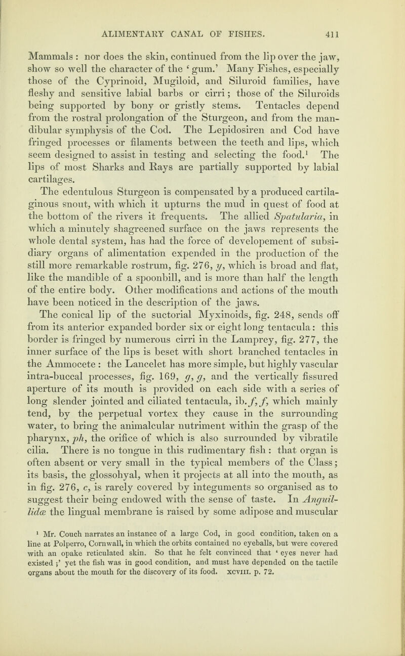 Mammals : nor does the skin, continued from the lip over the jaw, show so well the character of the (gum.’ Many Fishes, especially those of the Cyprinoid, Mugiloid, and Siluroid families, have fleshy and sensitive labial barbs or cirri; those of the Siluroids being supported by bony or gristly stems. Tentacles depend from the rostral prolongation of the Sturgeon, and from the man¬ dibular symphysis of the Cod. The Lepidosiren and Cod have fringed processes or filaments between the teeth and lips, which seem designed to assist in testing and selecting the food.1 The lips of most Sharks and Kays are partially supported by labial cartilages. The edentulous Sturgeon is compensated by a produced cartila¬ ginous snout, with which it upturns the mud in quest of food at the bottom of the rivers it frequents. The allied Spatularia, in which a minutely shagreened surface on the jaws represents the whole dental system, has had the force of dev elopement of subsi¬ diary organs of alimentation expended in the production of the still more remarkable rostrum »fig- 276, y, which is broad and flat, like the mandible of a spoonbill, and is more than half the length of the entire body. Other modifications and actions of the mouth have been noticed in the description of the jaws. The conical lip of the suctorial Myxinoids, fig. 248, sends off from its anterior expanded border six or eight long tentacula: this border is fringed by numerous cirri in the Lamprey, fig. 277, the inner surface of the lips is beset with short branched tentacles in the Ammocete : the Lancelet has more simple, but highly vascular intra-buccal processes, fig. 169, g,g, and the vertically fissured aperture of its mouth is provided on each side with a series of long slender jointed and ciliated tentacula, which mainly tend, by the perpetual vortex they cause in the surrounding water, to bring the animalcular nutriment within the grasp of the pharynx, ph, the orifice of which is also surrounded by vibratile cilia. There is no tongue in this rudimentary fish : that organ is often absent or very small in the typical members of the Class; its basis, the glossohyal, when it projects at all into the mouth, as in fig. 276, c, is rarely covered by integuments so organised as to suggest their being endowed with the sense of taste. In Anguil- lidce the lingual membrane is raised by some adipose and muscular 1 Mr. Couch narrates an instance of a large Cod, in good condition, taken on a line at Polperro, Cornwall, in which the orbits contained no eyeballs, but were covered with an opake reticulated skin. So that he felt convinced that * eyes never had existed yet the fish was in good condition, and must have depended on the tactile organs about the mouth for the discovery of its food. xcvm. p. 72.