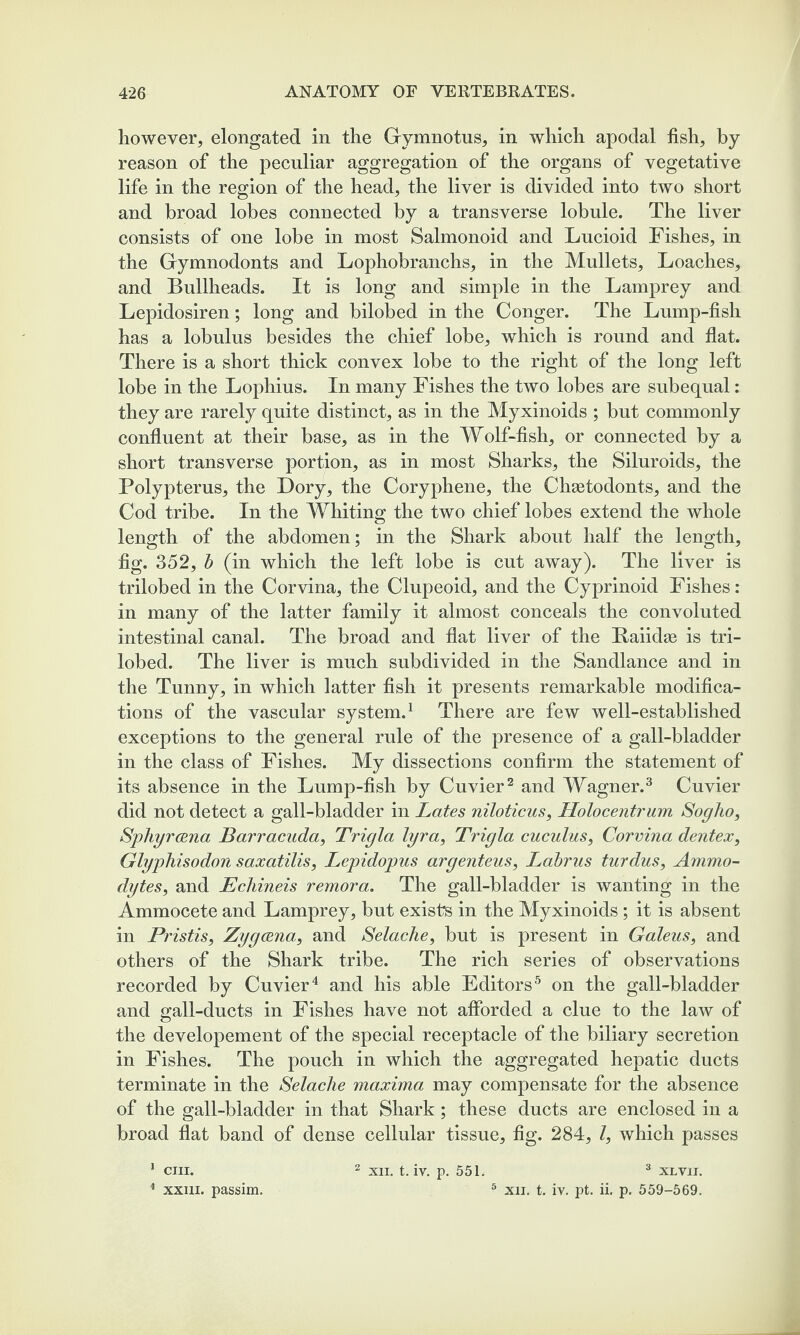 however, elongated in the Gymnotus, in which apodal fish, by reason of the peculiar aggregation of the organs of vegetative life in the region of the head, the liver is divided into two short and broad lobes connected by a transverse lobule. The liver consists of one lobe in most Salmonoid and Lncioid Fishes, in the Gymnodonts and Lophobranchs, in the Mullets, Loaches, and Bullheads. It is long and simple in the Lamprey and Lepidosiren; long and bilobed in the Conger. The Lump-fish has a lobulus besides the chief lobe, which is round and flat. There is a short thick convex lobe to the right of the long left lobe in the Lophius. In many Fishes the two lobes are subequal: they are rarely quite distinct, as in the Myxinoids ; but commonly confluent at their base, as in the Wolf-fish, or connected by a short transverse portion, as in most Sharks, the Siluroids, the Polypterus, the Dory, the Coryphene, the Chaetodonts, and the Cod tribe. In the Whiting the two chief lobes extend the whole length of the abdomen; in the Shark about half the length, fig. 352, b (in which the left lobe is cut away). The liver is trilobed in the Corvina, the Clupeoid, and the Cyprinoid Fishes: in many of the latter family it almost conceals the convoluted intestinal canal. The broad and flat liver of the Baiidae is tri¬ lobed. The liver is much subdivided in the Sandlance and in the Tunny, in which latter fish it presents remarkable modifica¬ tions of the vascular system.1 There are few well-established exceptions to the general rule of the presence of a gall-bladder in the class of Fishes. My dissections confirm the statement of its absence in the Lump-fish by Cuvier2 and Wagner.3 Cuvier did not detect a gall-bladder in Lates niloticus, Holocentrum Sogho, Sphyrcena Barracuda, Trigla lyra, Trigla cuculus, Corvina dentex, Glyphisodon saxatilis, Lepidopus argenteus, Labrus turdus, Ammo- dytes, and Echineis remora. The gall-bladder is wanting in the Ammocete and Lamprey, but exists in the Myxinoids; it is absent in Pristis, Zygoena, and Selache, but is present in Galeus, and others of the Shark tribe. The rich series of observations recorded by Cuvier4 and his able Editors5 on the gall-bladder and gall-ducts in Fishes have not afforded a clue to the law of the developement of the special receptacle of the biliary secretion in Fishes. The pouch in which the aggregated hepatic ducts terminate in the Selache maxima may compensate for the absence of the gall-bladder in that Shark; these ducts are enclosed in a broad flat band of dense cellular tissue, fig. 284, l, which passes 1 cm. 4 xxm. passim. 2 xii. t. iv. p. 551. 3 xlvii. 5 xn. t. iv. pt. ii. p. 559-569.