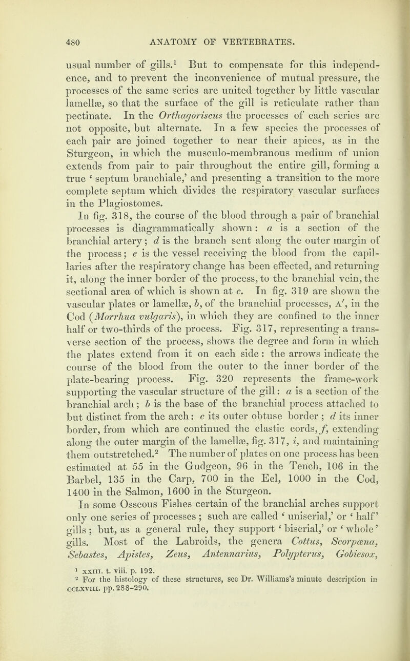 usual number of gills.1 But to compensate for this independ¬ ence, and to prevent the inconvenience of mutual pressure, the processes of the same series are united together by little vascular lamellae, so that the surface of the gill is reticulate rather than pectinate. In the Orthagoriscus the processes of each series are not opposite, but alternate. In a few species the processes of each pair are joined together to near their apices, as in the Sturgeon, in which the musculo-membranous medium of union extends from pair to pair throughout the entire gill, forming a true f septum branchiale,’ and presenting a transition to the more complete septum which divides the respiratory vascular surfaces in the Plagiostomes. In fig. 318, the course of the blood through a pair of branchial processes is diagrammatically shown: a is a section of the branchial artery; d is the branch sent along the outer margin of the process; e is the vessel receiving the blood from the capil¬ laries after the respiratory change has been effected, and returning it, along the inner border of the process, to the branchial vein, the sectional area of which is shown at c. In fig. 319 are shown the vascular plates or lamellae, b, of the branchial processes, a', in the Cod (Morrhua vulgaris), in which they are confined to the inner half or two-thirds of the process. Fig. 317, representing a trans¬ verse section of the process, shows the degree and form in which the plates extend from it on each side: the arrows indicate the course of the blood from the outer to the inner border of the plate-bearing process. Fig. 320 represents the frame-work supporting the vascular structure of the gill: a is a section of the branchial arch; b is the base of the branchial process attached to but distinct from the arch: c its outer obtuse border ; d its inner border, from which are continued the elastic cords,/, extending along the outer margin of the lamellae, fig. 317, i, and maintaining them outstretched.2 The number of plates on one process has been estimated at 55 in the Gudgeon, 96 in the Tench, 106 in the Barbel, 135 in the Carp, 700 in the Eel, 1000 in the Cod, 1400 in the Salmon, 1600 in the Sturgeon. In some Osseous Fishes certain of the branchial arches support only one series of processes ; such are called f uniserial,’ or ‘ half’ gills ; but, as a general rule, they supportf biserial,’ or c whole ’ gills. Most of the Labroids, the genera Coitus, Scorpeena, Sebastes, Apistes, Zeus, Antennarius, Polypterus, Gobiesox, 1 xxin. t. viii. p. 192. 2 For the histology of these structures, see Dr. Williams’s minute description in oclxviii. pp. 288-290.