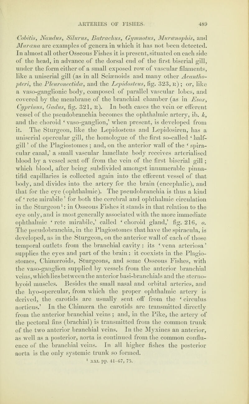 Colitis, Nandus, Silurus, Batrachus, Gymnotus, Murcenophis, and Muroena are examples of genera in which it has not been detected. In almost all other Osseous Fishes it is present, situated on each side of the head, in advance of the dorsal end of the first biserial gill, under the form either of a small exposed row of vascular filaments, like a uniserial gill (as in all Sciaenoids and many other Acantho- pteri, the Pleuronectidce, and the Lepidosteus, fig. 323, r) ; or, like a vaso-ganglionic body, composed of parallel vascular lobes, and covered by the membrane of the branchial chamber (as in Esox, Cyprinus, Gadus, fig. 321, r). In both cases the vein or efferent vessel of the pseudobranchia becomes the ophthalmic artery, ib. k, and the choroid e vaso-ganglion,’ when present, is developed from it. The Sturgeon, like the Lepidosteus and Lepidosiren, has a uniserial opercular gill, the homologue of the first so-called e half¬ gill ’ of the Plagiostomes ; and, on the anterior wall of the ff spira- cular canal,’ a small vascular lamellate body receives arterialised blood by a vessel sent off from the vein of the first biserial gill; which blood, after being subdivided amongst innumerable pinna- tifid capillaries is collected again into the efferent vessel of that body, and divides into the artery for the brain (encephalic), and that for the eye (ophthalmic). The pseudobranchia is thus a kind of‘ rete mirabile ’ for both the cerebral and ophthalmic circulation in the Sturgeon1: in Osseous Fishes it stands in that relation to the eye only, and is most generally associated with the more immediate ophthalmic f rete mirabile,’ called ‘choroid gland,’ fig. 216, o. The pseudobranchia, in the Plagiostomes that have the spiracula, is developed, as in the Sturgeon, on the anterior wall of each of those temporal outlets from the branchial cavity : its c vena arteriosa ’ supplies the eyes and part of the brain: it coexists in the Plagio¬ stomes, Chimseroids, Sturgeons, and some Osseous Fishes, with the vaso-ganglion supplied by vessels from the anterior branchial veins, which lies between the anterior basi-branchials and the sterno¬ hyoid muscles. Besides the small nasal and orbital arteries, and the hyo-opercular, from which the proper ophthalmic artery is derived, the carotids are usually sent off from the ‘ circulus aorticus.’ In the Chimera the carotids are transmitted directly from the anterior branchial veins; and, in the Pike, the artery of the pectoral fins (brachial) is transmitted from the common trunk of the two anterior branchial veins. In the Myxines an anterior, as well as a posterior, aorta is continued from the common conflu¬ ence of the branchial veins. In all higher fishes the posterior aorta is the only systemic trunk so formed. 1 xxi. pp. 41-67, 75.