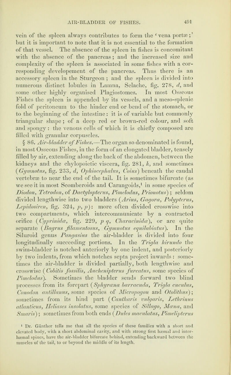 vein of the spleen always contributes to form the ‘vena porta?;’ but it is important to note that it is not essential to the formation of that vessel. The absence of the spleen in fishes is concomitant Avith the absence of the pancreas ; and the increased size and complexity of the spleen is associated in some fishes with a cor¬ responding developement of the pancreas. Thus there is an accessory spleen in the Sturgeon ; and the spleen is divided into numerous distinct lobules in Lamna, Selache, fig. 278, d, and some other highly organised Plagiostomes. In most Osseous Fishes the spleen is appended by its vessels, and a meso-splenic fold of peritoneum to the hinder end or bend of the stomach, or to the beginning of the intestine: it is of variable but commonly triangular shape; of a deep red or brown-red colour, and soft and spongy : the venous cells of which it is chiefly composed are filled with granular corpuscles. § 86. Air-bladder of Fishes.—The organ so denominated is found, in most Osseous Fishes, in the form of an elongated bladder, tensely filled by air, extending along the back of the abdomen, between the kidneys and the chylopoietic viscera, fig. 281, k, and sometimes (■Gymnotus, fig. 233, d, Ophiocephalus, Corns') beneath the caudal vertebrae to near the end of the tail. It is sometimes bifurcate (as we see it in most Scomberoids and Carangoids,1 in some species of Diodon, Tetrodon, of Dactylopterus, Pimelodus, Prionotus') ; seldom divided lengthwise into two bladders (Arius, Gagora, Polypterus, Lepidosiren, fig. 324, p, p): more often divided crosswise into two compartments, which intercommunicate by a contracted orifice (Cyprinidee, fig. 229, p q, Char acini dee), or are quite separate (Bagrus Jilamentosus, Gymnotus equilabiatus). In the Siluroid genns Pangasius the air-bladder is divided into four longitudinally succeeding portions. In the Trigla hirundo the swim-bladder is notched anteriorly by one indent, and posteriorly by two indents, from which notches septa project inwards : some¬ times the air-bladder is divided partially, both lengthwise and crosswise ( Cobitis fossilis, Auchenipterus furcatus, some species of Pimelodus). Sometimes the bladder sends forward two blind processes from its forepart (Sphyreena barracuda, Trigla cucidus, Conodon antillanus, some species of Micropogon and Otolithus); sometimes from its hind part (Cantharis vulgaris, Lethrinus atlanticus, Ileliases insolatus, some species of Sillago, Meena, and Smaris); sometimes from both ends (Dules maculatus, Pimelipterus 1 Dr. Giinther tells me that all the species of these families with a short and elevated body, with a short abdominal cavity, and with strong first haemal and inter- haemal spines, have the air-bladder bifurcate behind, extending backward between the muscles of the tail, to or beyond the middle of its length.