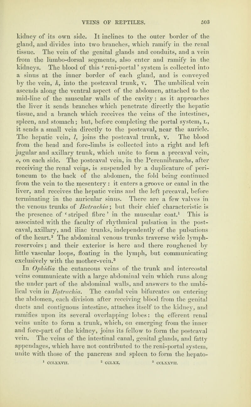 kidney of its own side. It inclines to the outer border of the gland, and divides into two branches, which ramify in the renal tissue. The vein of the genital glands and conduits, and a vein from the lumbo-dorsal segments, also enter and ramify in the kidneys. The blood of this reni-portal5 system is collected into a sinus at the inner border of each gland, and is conveyed by the vein, k, into the postcaval trunk, v. The umbilical vein ascends along the ventral aspect of the abdomen, attached to the mid-line of the muscular walls of the cavity : as it approaches the liver it sends branches which penetrate directly the hepatic tissue, and a branch which receives the veins of the intestines, spleen, and stomach; but, before completing the portal system, l, it sends a small vein directly to the postcaval, near the auricle. The hepatic vein, Z, joins the postcaval trunk, v. The blood from the head and fore-limbs is collected into a right and left jugular and axillary trunk, which unite to form a precaval vein, o, on each side. The postcaval vein, in the Perennibranchs, after receiving the renal veins, is suspended by a duplicature of peri¬ toneum to the back of the abdomen, the fold being continued from the vein to the mesentery : it enters a groove or canal in the liver, and receives the hepatic veins and the left precaval, before terminating in the auricular sinus. There are a few valves in the venous trunks of Batrachia; but their chief characteristic is the presence of e striped fibre 5 in the muscular coat.1 This is associated with the faculty of rhythmical pulsation in the post¬ caval, axillary, and iliac trunks, independently of the pulsations of the heart.2 The abdominal venous trunks traverse wide lymph- reservoirs ; and their exterior is here and there roughened by little vascular loops, floating in the lymph, but communicating exclusively with the mother-vein.3 In Ophidia the cutaneous veins of the trunk and intercostal veins communicate with a large abdominal vein which runs along the under part of the abdominal walls, and answers to the umbi¬ lical vein in Batrachia. The caudal vein bifurcates on entering the abdomen, each division after receiving blood from the genital ducts and contiguous intestine, attaches itself to the kidney, and ramifies upon its several overlapping lobes: the efferent renal veins unite to form a trunk, which, on emerging from the inner and fore-part of the kidney, joins its fellow to form the postcaval vein. The veins of the intestinal canal, genital glands, and fatty appendages, which have not contributed to the reni-portal system, unite with those of the pancreas and spleen to form the hepato- 1 CCLXXVII. 2 CCLXX. 3 CCLXXVII.