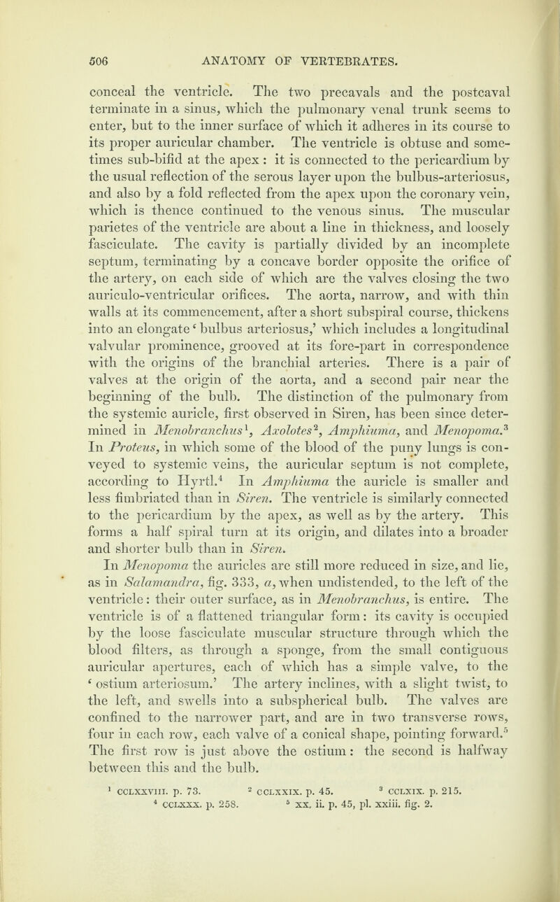 conceal the ventricle. The two precavals and the postcaval terminate in a sinus., which the pulmonary venal trunk seems to enter, but to the inner surface of which it adheres in its course to its proper auricular chamber. The ventricle is obtuse and some¬ times sub-bifid at the apex : it is connected to the pericardium by the usual reflection of the serous layer upon the bulbus-arteriosus, and also by a fold reflected from the apex upon the coronary vein, which is thence continued to the venous sinus. The muscular parietes of the ventricle are about a line in thickness, and loosely fasciculate. The cavity is partially divided by an incomplete septum, terminating by a concave border opposite the orifice of the artery, on each side of which are the valves closing the two auriculo-ventricular orifices. The aorta, narrow, and with thin walls at its commencement, after a short subspiral course, thickens into an elongate ‘ bulbus arteriosus,’ which includes a longitudinal valvular prominence, grooved at its fore-part in correspondence with the origins of the branchial arteries. There is a pair of valves at the origin of the aorta, and a second pair near the beginning of the bulb. The distinction of the pulmonary from the systemic auricle, first observed in Siren, has been since deter¬ mined in Menobranchus1, Axolotes2, Amphiuma, and Menopoma.3 In Proteus, in wdiich some of the blood of the puny lungs is con¬ veyed to systemic veins, the auricular septum is not complete, according to Hyrtl.4 In Amphiuma the auricle is smaller and less fimbriated than in Siren. The ventricle is similarly connected to the pericardium by the apex, as well as by the artery. This forms a half spiral turn at its origin, and dilates into a broader and shorter bulb than in Siren. In Menopoma the auricles are still more reduced in size, and lie, as in Salamandra, fig. 333, a, when undistended, to the left of the ventricle: their outer surface, as in Menobranchus, is entire. The ventricle is of a flattened triangular form: its cavity is occupied by the loose fasciculate muscular structure through which the blood filters, as through a sponge, from the small contiguous auricular apertures, each of which has a simple valve, to the c ostium arteriosum.’ The artery inclines, with a slight twist, to the left, and swells into a subspherical bulb. The valves are confined to the narrower part, and are in two transverse rows, four in each row, each valve of a conical shape, pointing forward.5 The first row is just above the ostium: the second is halfway between this and the bulb. 1 CCLXXVIII. p. 73. 2 CCLXXIX. p. 45. 3 CCLXIX. p. 215. 4 cclxxx. p. 258. 5 xx. ii. p. 45, pi. xxiii. fig. 2.