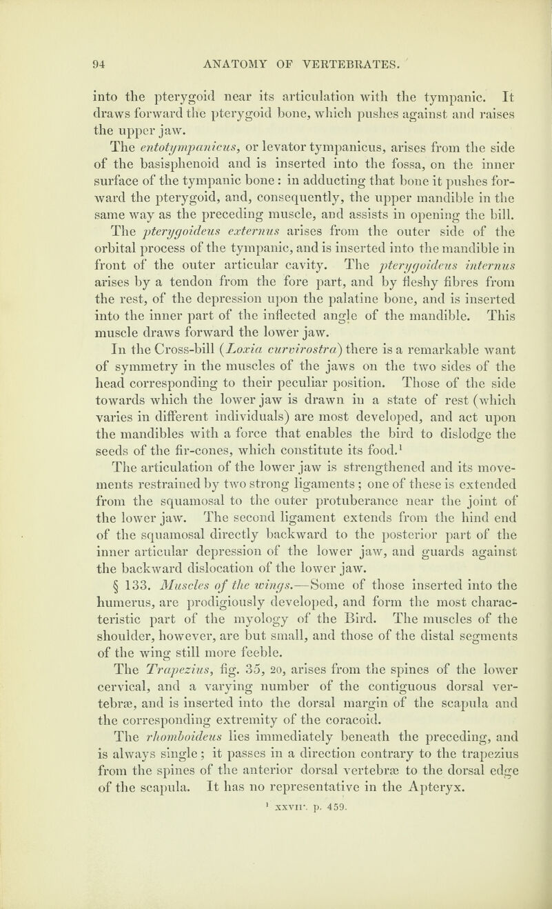into the pterygoid near its articulation with the tympanic. It draws forward the pterygoid bone, which pushes against and raises the upper jaw. The entotympanicus, or levator tympanicus, arises from the side of the basisphenoid and is inserted into the fossa, on the inner surface of the tympanic bone : in adducting that bone it pushes for¬ ward the pterygoid, and, consequently, the upper mandible in the same way as the preceding muscle, and assists in opening the bill. The pterygoideus externus arises from the outer side of the orbital process of the tympanic, and is inserted into the mandible in front of the outer articular cavity. The pterygoideus internus arises by a tendon from the fore part, and by fleshy fibres from the rest, of the depression upon the palatine bone, and is inserted into the inner part of the inflected angle of the mandible. This muscle draws forward the lower jaw. In the Cross-bill (Loxia curvirostra) there is a remarkable want of symmetry in the muscles of the jaws on the two sides of the head corresponding to their peculiar position. Those of the side towards which the lower jaw is drawn in a state of rest (which varies in different individuals) are most developed, and act upon the mandibles with a force that enables the bird to dislodge the seeds of the fir-cones, which constitute its food.1 The articulation of the lower jaw is strengthened and its move¬ ments restrained by two strong ligaments; one of these is extended from the squamosal to the outer protuberance near the joint of the lower jaw. The second ligament extends from the hind end of the squamosal directly backward to the posterior part of the inner articular depression of the lower jaw, and guards against the backward dislocation of the lower jaw. § 133. Muscles of the wings.—Some of those inserted into the humerus, are prodigiously developed, and form the most charac¬ teristic part of the myology of the Bird. The muscles of the shoulder, however, are but small, and those of the distal segments of the wing still more feeble. The Trapezius, fig. 35, 20, arises from the spines of the lower cervical, and a varying number of the contiguous dorsal ver¬ tebrae, and is inserted into the dorsal margin of the scapula and the corresponding extremity of the coracoid. The rhomboideus lies immediately beneath the preceding, and is always single; it passes in a direction contrary to the trapezius from the spines of the anterior dorsal vertebrae to the dorsal edge of the scapula. It has no representative in the Apteryx. 1 xxvir. p. 459.