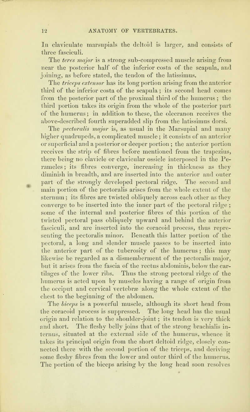 Ill claviciilate marsupials the deltoid is larger^ and consists of three fasciculi. The teres major is a strong sub-compressed muscle arising from near the posterior half of the inferior costa of the scapula, and joining, as before stated, the tendon of the latissimus. The triceps extensor has its long portion arising from the anterior third of the inferior costa of the scapula; its second head comes from the posterior part of the proximal third of the humerus ; the third portion takes its origin from the whole of the posterior part of the humerus; in addition to these, the olecranon receives the above-described fourth superadded slip from the latissimus dorsi. The pectoralis major is, as usual in the Marsupial and many higher quadrupeds, a complicated muscle; it consists of an anterior or superficial and a posterior or deeper portion ; the anterior portion receives the strip of fibres before mentioned from the trapezius, there being no clavicle or clavicular ossicle interposed in the Pe- rameles; its fibres converge, increasing in thickness as they diminish in breadth, and are inserted into the anterior and outer ]iart of the strongly developed pectoral ridge. The second and main portion of the pectoralis arises from the whole extent of the sternum; its fibres are twisted obliquely across each other as they converge to be inserted into the inner part of the pectoral ridge ; some of the internal and posterior fibres of this portion of the twisted pectoral pass obliquely upward and behind the anterior fasciculi, and are inserted into the coracoid process, thus repre¬ senting the pectoralis minor. Beneath this latter portion of the pectoral, a long and slender muscle passes to be inserted into the anterior part of the tuberosity of the humerus ; this may likewise be regarded as a dismemberment of the pectoralis major, but it arises from the fascia of the rectus abdominis, below the car¬ tilages of the lower ribs. Thus the strong pectoral ridge of the humerus is acted upon by muscles having a range of origin from the occiput and cervical vertebra© along the whole extent of the chest to the beMnnino; of the abdomen. The biceps is a powerful muscle, although its short head from the coracoid process is suppressed. The long head has the usual origin and relation to the shoulder-joint; its tendon is very thick and short. The fleshy belly joins that of the strong brachialis in- ternus, situated at the external side of the humerus, whence it takes its principal origin from the short deltoid ridge, closely con¬ nected there with the second portion of the triceps, and deriving some fleshy fibres from the lower and outer third of the humerus. The portion of the biceps arising by the long head soon resolves