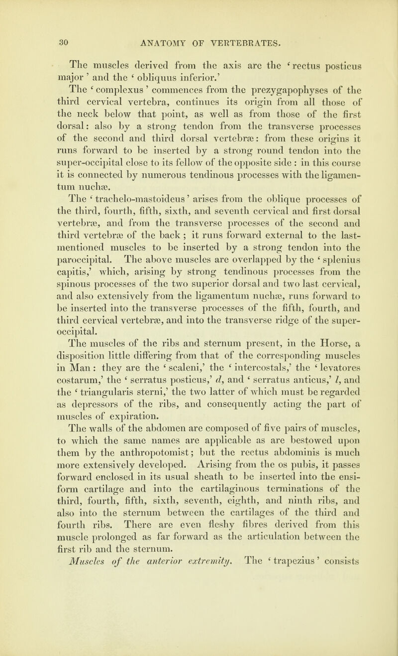 The muscles derived from the axis are the ^rectus posticus major ’ and the ^ obliquus inferior.’ The ^ complexus ’ commences from the prezygapophyses of the third cervical vertebra, continues its origin from all those of the neck below that point, as well as from those of the first dorsal: also by a strong tendon from the transverse processes of the second and third dorsal vertebrae: from these origins it runs forward to be inserted by a strong round tendon into the super-occipital close to its fellow of the opposite side : in this course it is connected by numerous tendinous processes Avith the ligamen- tum nuchae. The trachelo-mastoideus ’ arises from the oblique processes of the third, fourth, fifth, sixth, and seventh cervical and first dorsal vertebrae, and from the transverse processes of the second and third vertebrae of the back ; it runs forward external to the last- mentioned muscles to be inserted by a strong tendon into the paroccipital. The above muscles are overlapped by the ^ splenius capitis,’ which, arising by strong tendinous processes from the spinous processes of the two superior dorsal and two last cervical, and also extensively from the ligamentum nuchas, runs forward to be inserted into the transverse processes of the fifth, fourth, and third cervical vertebras, and into the transverse ridge of the super- occipital. The muscles of the ribs and sternum present, in the Horse, a disposition little differing from that of the corresponding muscles in Man: they are the ‘ scaleni,’ the ^ intercostals,’ the ‘ levatores costarum,’ the ^ serratus posticus,’ d, and ^ serratus anticus,’ /, and the ^ triangularis sterni,’ the two latter of Avhich must be regarded as depressors of the ribs, and consequently acting the part of muscles of expiration. The walls of the abdomen are composed of five pairs of muscles, to which the same names are applicable as are bestowed upon them by the anthropotomist; but the rectus abdominis is much more extensively developed. Arising from the os pubis, it passes forward enclosed in its usual sheath to be inserted into the ensi- form cartilage and into the cartilaginous terminations of the third, fourth, fifth, sixth, seventh, eighth, and ninth ribs, and also into the sternum between the cartilages of the third and fourth ribs. There are even fleshy fibres derived from this muscle prolonged as far forward as the articulation between the first rib and the sternum. Muscles of the anterior extremity. The ‘ trapezius ’ consists