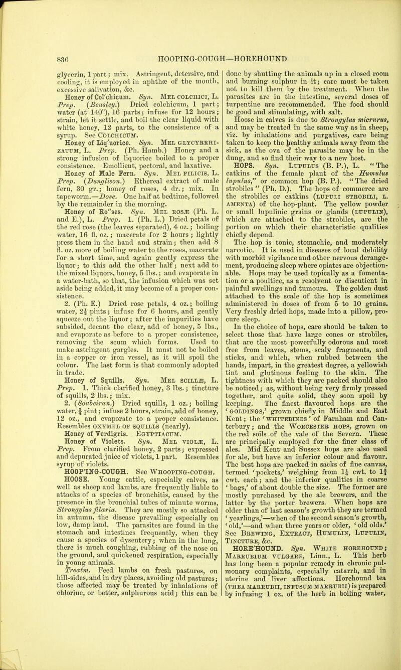 glycerin, 1 part; mix. Astringent, detersive, and cooling, it is employed in aphthae of the mouth, excessive salivation, &c. Honey of Col'chicimi. Syn. Mel colchici, L. Prep. {Beasley.) Dried colchicum, 1 part; water (at 140°), 16 parts; infuse for 12 hours; strain, let it settle, and boil the clear liquid with white honey, 12 parts, to the consistence of a syrup. See Colchicum. Honey of Liq'uorice. Syn. Mel glycyrrhi- zatum, L. Prep. (Ph. Hamb.) Honey and a strong infusion of liquorice boiled to a proper consistence. Emollient, pectoral, and laxative. Honey of Male Eern. Syn. Mel eilicis, L. Prep. (Dunglison.) Ethereal extract of male fern, 30 gr.; honey of roses, 4 dr.; mix. In tapeworm.—Dose. One half at bedtime, followed by the remainder in the morning. Honey of Roses. Syn. Mel nosm (Ph. L. and E.), L. Prep. 1. (Ph. L.) Dried petals of the red rose (the leaves separated), 4 oz.; boiling water, 16 fl. oz.; macerate for 2 hours ; lightly press them in the hand and strain; then add 8 fl. oz. more of boiling water to the roses, macerate for a short time, and again gently express the liquor; to this add the other half; next add to the mixed liquors, honey, 5 lbs.; and evaporate in a water-bath, so that, the infusion which was set aside being added, it may become of a proper con- sistence. 2. (Ph. E.) Dried rose petals, 4 oz.; boiling water, 2£ pints; infuse for 6 hours, and gently squeeze out the liquor; after the impurities have subsided, decant the clear, add of honey, 5 lbs., and evaporate as before to a proper consistence, removing the scum which forms. Used to make astringent gargles. It must not be boiled in a copper or iron vessel, as it will spoil the colour. The last form is that commonly adopted in trade. Honey of Squills. Syn. Mel scill^!, L. Prep. 1. Thick clarified honey, 3 lbs.; tincture of squills, 2 lbs.; mix. 2. (Souheiran.) Dried squills, 1 oz.; boiling water, f pint; infuse 2 hours, strain, add of honey, 12 oz., and evaporate to a proper consistence. Resembles oxymel oe squills (nearly). Honey of Verdigris. Egyptiacum. Honey of Violets. Syn. Mel viol.ze, L. Prep. Erom clarified honey, 2 parts; expressed and depurated juice of violets, 1 part. Resembles syrup of violets. HOOP'ING-COUGH. See Whooping-cough. HOOSE. Young cattle, especially calves, as well as sheep and lambs, are frequently liable to attacks of a species of bronchitis, caused by the presence in the bronchial tubes of minute worms, Strongylus filaria. They are mostly so attacked in autumn, the disease prevailing especially on low, damp land. The parasites are found in the stomach and intestines frequently, when they cause a species of dysentery; when in the lung, there is much coughing, rubbing of the nose on the ground, and quickened respiration, especially in young animals. Treatm. Feed lambs on fresh pastures, on hill-sides, and in dry places, avoiding old pastures; those affected may be treated by inhalations of chlorine, or better, sulphurous acid; this can be done by shutting the animals up in a closed room and burning sulphur in it; care must be taken not to kill them by the treatment. When the parasites are in the intestine, several doses of turpentine are recommended. The food should be good and stimulating, with salt. Hoose in calves is due to Strongylus micrurus, and may be treated in the same way as in sheep, viz. by inhalations and purgatives, care being taken to keep the healthy animals away from the sick, as the ova of the parasite may be in the dung, and so find their way to a new host. HOPS. Syn. Lupulus (B. P.), L. The catkins of the female plant of the Humulus lupulus or common hop (B. P.). The dried strobiles (Ph. D.). The hops of commerce are the strobiles or catkins (lupuli strobili, l. amenta) of the hop-plant. The yellow powder or small lupulinic grains or glands (lupulin), which are attached to the strobiles, are the portion on which their characteristic qualities chiefly depend. Tbe hop is tonic, stomachic, and moderately narcotic. It is used in diseases of local debility with morbid vigilance and other nervous derange- ment, producing sleep where opiates are objection- able. Hops may be used topically as a fomenta- tion or a poultice, as a resolvent or discutient in painful swellings and tumours. The golden dust attached to the scale of the hop is sometimes administered in doses of from 5 to 10 grains. Very freshly dried hops, made into a pillow, pro- cure sleep. In the choice of hops, care should be taken to select those that have large cones or strobiles, that are the most powerfully odorous and most free from leaves, stems, scaly fragments, and sticks, and which, when rubbed between the hands, impart, in the greatest degree, a yellowish tint and glutinous feeling to the skin. The tightness with which they are packed should also be noticed; as, without being very firmly pressed together, and quite solid, they soon spoil by keeping. The finest flavoured hops are the 4 goldings/ grown chiefly in Middle and East Kent; the e whitebines ' of Earnham and Can- terbury; and the Worcester hops, grown on the red soils of the vale of the Severn. These are principally employed for the finer class of ales. Mid Kent and Sussex hops are also used for ale, but have an inferior colour and flavour. The best hops are packed in sacks of fine canvas, termed ' pockets,5 weighing from 1£ cwt. to If cwt. each; and the inferior qualities in coarse c bags,' of about double the size. The former are mostly purchased by the ale brewers, and the latter by the porter brewers. When hops are older than of last season's growth they are termed ' yearlings,'—when of the second season's growth, ' old,'—and when three years or older, 'old olds.* See Brewing, Extract, Humulin, Lupttlin, Tincture, &c. HORE'HOUND. Syn. White horehound; Marrubium vulgare, Linn., L. This herb has long been a popular remedy in chronic pul- monary complaints, especially catarrh, and in uterine and liver affections. Horehound tea (thea marrubii, ineusum marrubii) is prepared by infusing 1 oz. of the herb in boiling water,
