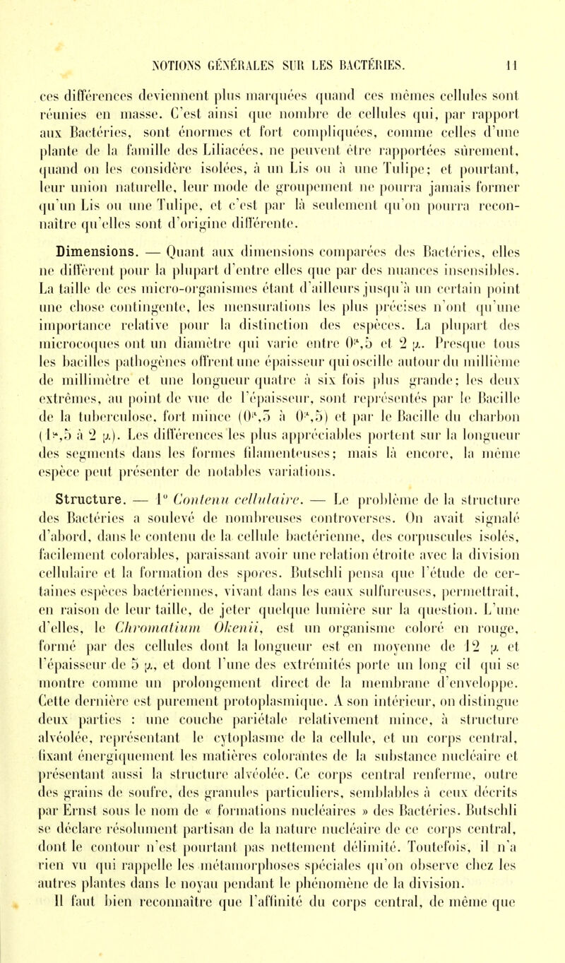 ces différences deviennent plus marquées quand ces mêmes cellules sont réunies en masse. C'est ainsi que nombre de cellules qui, par rapport aux Bactéries, sont énormes et fort compliquées, comme celles d'une plante de la famille des Liliacées, ne peuvent être rapportées sûrement, quand on les considère isolées, à un Lis ou à une Tulipe; et pourtant, leur union naturelle, leur mode de groupement ne pourra jamais former qu'un Lis ou une Tulipe, et c'est par là seulement qu'on pourra recon- naître qu'elles sont d'origine différente. Dimensions. — Quant aux dimensions comparées des Bactéries, elles ne diffèrent pour la plupart d'entre elles que par des nuances insensibles. La taille de ces micro-organismes étant d'ailleurs jusqu'à un certain point une cbose contingente, les mensurations les plus précises n'ont qu'une importance relative pour la distinction des espèces. La plupart des microcoques ont un diamètre qui varie entre 0!\5 et 2 \x. Presque tous les bacilles pathogènes offrent une épaisseur qui oscille autour du millième de millimètre et une longueur quatre à six fois plus grande ; les deux extrêmes, au point de vue de l'épaisseur, sont représentés par le Bacille de la tuberculose, fort mince (0il,5 à 0:\5) et par le Bacille du charbon (1^,5 à 2 Les différences les plus appréciables portent sur la longueur des segments dans les formes filamenteuses; mais là encore, la même espèce peut présenter de notables variations. Structure. — 1° Contenu cellulaire. — Le problème de la structure des Bactéries a soulevé de nombreuses controverses. On avait signalé d'abord, dans le contenu de la cellule bactérienne, des corpuscules isolés, facilement colorables, paraissant avoir une relation étroite avec la division cellulaire et la formation des spores. Butschli pensa que l'étude de cer- taines espèces bactériennes, vivant dans les eaux sulfureuses, permettrait, en raison de leur taille, de jeter quelque lumière sur la question. L'une d'elles, le Chromatium Okenii, est un organisme coloré en rouge, formé par des cellules dont la longueur est en moyenne de 12 \x et l'épaisseur de 5 \x, et dont l'une des extrémités porte un long cil qui se montre comme un prolongement direct de la membrane d'enveloppe. Cette dernière est purement protoplasmique. A son intérieur, on distingue deux parties : une couche pariétale relativement mince, à structure alvéolée, représentant le cytoplasme de la cellule, et un corps central, fixant, énergique]nent les matières colorantes de la substance nucléaire et présentant aussi la structure alvéolée. Ce corps central renferme, outre des grains de soufre, des granules particuliers, semblables à ceux décrits par Ernst sous le nom de « formations nucléaires » des Bactéries. Butschli se déclare résolument partisan de la nature nucléaire de ce corps central, dont le contour n'est pourtant pas nettement délimité. Toutefois, il n'a rien vu qui rappelle les métamorphoses spéciales qu'on observe chez les autres plantes dans le noyau pendant le phénomène de la division. Il faut bien reconnaître que l'affinité du corps central, de même que
