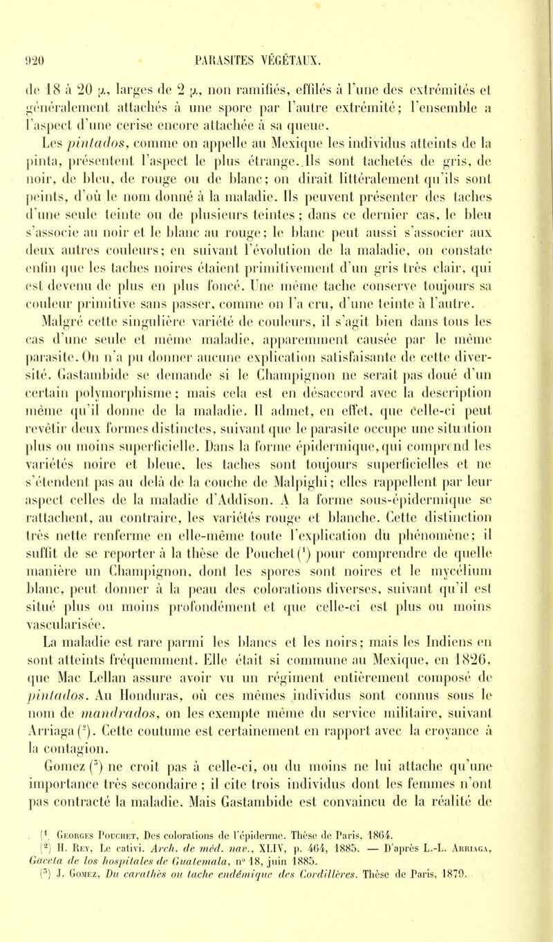 de 18 à 20 y/, larges de 2 \i, non ramifiés, effilés à l'une des extrémités et généralement attachés à une spore par l'autre extrémité; l'ensemble a l'aspect d'une cerise encore attachée à sa queue. Les pintados, comme on appelle au Mexique les individus atteints de la pinta, présentent l'aspect le plus étrange..Ils sont tachetés de gris, de noir, de bleu, de rouge ou de blanc ; on dirait littéralement qu'ils sont peints, d'où le nom donné à la maladie. Ils peuvent présenter des taches d'une seule teinte ou de plusieurs teintes ; dans ce dernier cas, le bleu s'associe au noir et le blanc au rouge ; le blanc peut aussi s'associer aux deux autres couleurs; en suivant l'évolution de la maladie, on constate enfin que les taches noires étaient primitivement d'un gris très clair, qui est devenu de plus en plus foncé. Une même tache conserve toujours sa couleur primitive sans passer, comme on l'a cru, d'une teinte à l'autre. Malgré cette singulière variété de couleurs, il s'agit bien dans tous les cas d'une seule et même maladie, apparemment causée par le même parasite. On n'a pu donner aucune explication satisfaisante de cette diver- sité. Gastambide se demande si le Champignon ne serait pas doué d'un certain polymorphisme ; mais cela est en désaccord avec la description même qu'il donne de la maladie. Il admet, en effet, que celle-ci peut revêtir deux formes distinctes, suivant que le parasite occupe une situation plus ou moins superficielle. Dans la forme épidermique, qui comprend les variétés noire et bleue, les taches sont toujours superficielles et ne s'étendent pas au delà de la couche de Malpighi ; elles rappellent par leur aspect celles de la maladie d'Addison. A la forme sous-épidermique se rattachent, au contraire, les variétés rouge et blanche. Cette distinction très nette renferme en elle-même toute l'explication du phénomène; il suffit de se reporter à la thèse de Pouchet^1) pour comprendre de quelle manière un Champignon, dont les spores sont noires et le mycélium blanc, peut donner à la peau des colorations diverses, suivant qu'il est situé plus ou moins profondément et que celle-ci est plus ou moins vascularisée. La maladie est rare parmi les blancs et les noirs ; mais les Indiens en sont atteints fréquemment. Elle était si commune au Mexique, en 1826, que Mac Lellan assure avoir vu un régiment entièrement composé de pintados. Au Honduras, où ces mêmes individus sont connus sous le nom de mandrados, on les exempte même du service militaire, suivant Arriaga(-). Cette coutume est certainement en rapport avec la croyance à la contagion. Gomez (3) ne croit pas à celle-ci, ou du moins ne lui attache qu'une importance très secondaire ; il cite trois individus dont les femmes n'ont pas contracté la maladie. Mais Gastambide est convaincu de la réalité de (.* Georges Pouchet, Des colorations de l'épiderme. Thèse de Paris, 1864. (2) H. Rey, Le cativi. Arch. de méd. nav., XLIV, p. 464, 1885. — D'après L.-L. Arriaca, Gacela de los Iwsjntales de Guatemala, n° 18, juin 1885. (3) J. Gomez, Du carathès ou tache endémique des Cordillères. Thèse de Paris, 1879.