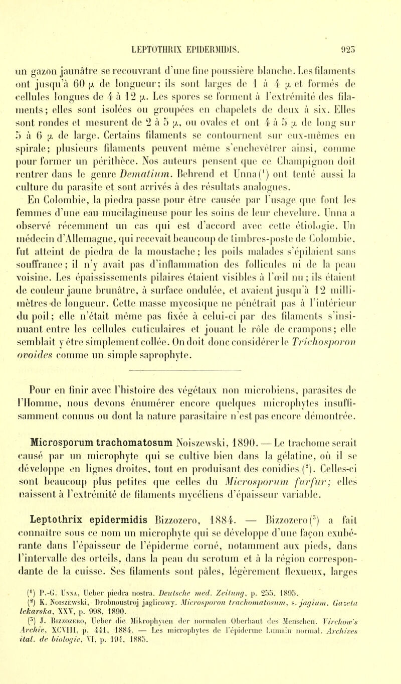 LEPTOTHRIX EPIDERMIDIS. 1)25 un gazon jaunâtre se recouvrant d'une fine poussière blanche. Les filaments ont jusqu'à 60 \x de longueur; ils sont larges de I à 4 p et formés de cellules longues de 4 à lc2 jju Les spores se forment à l'extrémité des fila- ments; elles sont isolées ou groupées en chapelets de deux à six. Elles sont rondes et mesurent de 2 à 5 j/,, ou ovales et ont 4 à 5 \i de long sur 5 à 6 \h de large. Certains filaments se contournent sur eux-mêmes en spirale; plusieurs filaments peuvent même s'enchevêtrer ainsi, comme pour former un périthèce. Nos auteurs pensent que ce Champignon doit rentrer dans le genre Dematium. Behrend et Unna(') ont tenté aussi la culture du parasite et sont arrivés à des résultats analogues. En Colombie, la piedra passe pour être causée par l'usage que font les femmes d'une eau mucilagineuse pour les soins de leur chevelure. Unna a observé récemment un cas qui est d'accord avec cette étiologie. Un médecin d'Allemagne, qui recevait beaucoup de timbres-poste de Colombie, fut atteint de piedra de la moustache ; les poils malades s'épilaient sans souffrance; il n'y avait pas d'inflammation des follicules ni de la peau voisine. Les épaississements pilaires étaient visibles à l'œil nu ; ils étaient de couleur jaune brunâtre, à surface ondulée, et avaient jusqu'à 12 milli- mètres-de longueur. Cette masse mycosique ne pénétrait pas à l'intérieur du poil ; elle n'était même pas fixée à celui-ci par des filaments s'insi- nuant entre les cellules cuticulaires et jouant le rôle de crampons; elle semblait y être simplement collée. On doit donc considérer le Tricfwsporou ovoides comme un simple saprophyte. Pour en finir avec l'histoire des végétaux non microbiens, parasites de !'Homme, nous devons énumérer encore quelques microphytes insuffi- samment connus ou dont la nature parasitaire n'est pas encore démontrée. Microsporum trachomatosum Noiszewski, 1890. —Le trachome serait causé par un microphyte qui se cultive bien dans la gélatine, où il se développe en lignes droites, tout en produisant des conidies (2). Celles-ci sont beaucoup plus petites que celles du Microsporum fur fur; elles naissent à l'extrémité de filaments mycéliens d'épaisseur variable. Leptothrix epidermidis Bizzozero, 1884. — Bizzozero(3) a fait connaître sous ce nom un microphyte qui se développe d'une façon exubé- rante dans l'épaisseur de l'épidémie corné, notamment aux pieds, dans l'intervalle des orteils, dans la peau du scrotum et à la région correspon- dante de la cuisse. Ses filaments sont pâles, légèrement flexueux, larges (*) P.-G. Unna, Ucber piedra nostra. Deutsche med. Zeihmg, p. 255, 1895. (2) K. NoiszEwski, Drobnoustroj jaglieowy. Microsporon trachomatosum, s. jagium. Gazeta lekarska, XXV, p. 998, 1890. (3) J. Bizzozeko, Ueber die Mikrophyien der normalen Obcrliaut des Menschen. Virchow'è Archiv, XÇVIII, p. 441, 1884. — Les microphytes de l'épiderrac humain normal. Archives