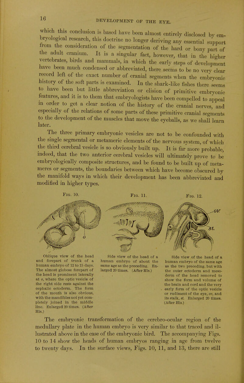 DEVELOPMENT OF THE EYE. which this conchision is based have been almost entirely disclosed by em- bryological research, this doctrine no longer deriving any essential support from the consideration of the segmentation of the hard or bony ijart of the adult cranium. It is a singular fact, however, that in the higher vertebrates, birds and mammals, in which the early steps of development have been much condensed or abbreviated, there seems to be no very clear record left of the exact number of cranial segments when the embryonic history of the soft parts is examined. In the shark-like fishes there seems to have been but little abbreviation or elision of primitive embryonic features, and it is to them that embryologists have been compelled to appeal m order to get a clear notion of the history of the cranial nerves, and especially of the relations of some parts of these primitive cranial segments to the development of the muscles that move the eyeballs, as we shall learn later. The three primary embryonic vesicles are not to be confounded with the single segmental or metameric elements of the nervous system, of which the third cerebral vesicle is so obviously built up. It is far more probable, indeed, that the two anterior cerebral vesicles will ultimately prove to be embryologically composite structures, and be found to be built up of meta- meres or segments, the boundaries between which have become obscured by the manifold ways in which their development has been abbreviated and modified in higher types. Fig. 10. Fig. 11. FiQ. 12. OV Side view of the head of a human embryo of about the same age as the preceding. En- larged 20 times. (After His.) Oblique view of the head and forepart of trunk of a human embryo of 12 to 15 days. The almost globose forepart of the head is prominent laterally at o, where the optic vesicle of the right side rests against the cephalic ectoderm. The form of the mouth is also obvious, with the mandibles not yet com- pletely joined in the middle line. Enlarged 20 times. (After His.) The embryonic transformation of the cerebro-ocular region of the medullary plate in the human embryo is very similar to that traced and il- lustrated above in the case of the embryonic bird. The accompanying Figs. 10 to 14 show the heads of human embryos ranging in age from twelve to twenty days. In the surface views. Figs. 10, 11, and 13, there are still Side view of the head of a human embryo of the same age as the two preceding, but with the outer ectoderm and meso- derm of the head removed to show the form and volume of the brain and cord and the very early form of the optic vesicle or rudiment of the eye, ov, and its stalk, St. Enlarged 20 times. (After His.)
