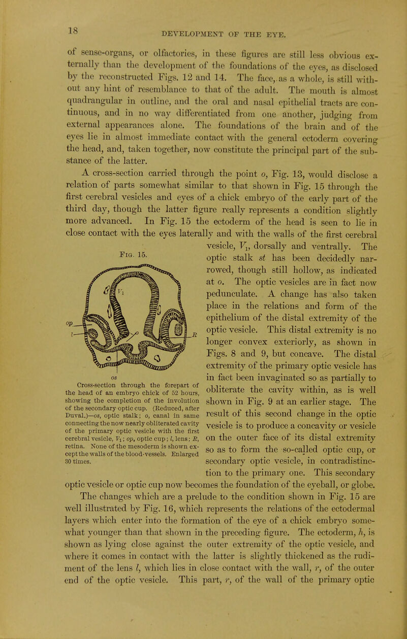 DEVELOPMENT OP THE EYE. of sense-organs, or olfactories, in these figures are still less obvious ex- ternally than the development of the foundations of the eyes, as disclosed by the reconstructed Figs. 12 and 14. The face,.as a whole, is still with- out any hint of resemblance to that of the adult. The mouth is almost quadrangular in outline, and the oral and nasal epithelial tracts are con- tinuous, and in no way differentiated from one another, judging from external appearances alone. The foundations of the brain and of the eyes lie in almost immediate contact with the general ectoderm covering tlie head, and, taken together, now constitute the principal part of the sub- stance of the latter. A cross-section carried through the point o. Fig. 13, would disclose a relation of parts somewhat similar to that shown in Fig. 15 through the first cerebral vesicles and eyes of a chick embryo of the early part of the third day, though the latter figure really represents a condition slightly more advanced. In Fig. 15 the ectoderm of the head is seen to lie in close contact with the eyes laterally and with the walls of the first cerebral vesicle, Fj, dorsally and ventrally. The optic stalk st has been decidedly nar- rowed, though still hollow, as indicated at 0. The optic vesicles are in fact now pedunculate. A change has also taken place in the relations and form of the epithelium of the distal extremity of the optic vesicle. This distal extremity is no longer convex exteriorly, as shown in Figs. 8 and 9, but concave. The distal extremity of the primary optic vesicle has in fact been invaginated so as partially to obliterate the cavity within, as is well shown in Fig. 9 at an earlier stage. The result of this second change in the optic vesicle is to produce a concavity or vesicle on the outer face of its distal extremity so as to form the so-called optic cup, or secondary optic vesicle, in contradistinc- tion to the primary one. This secondary optic vesicle or optic cup now becomes the foundation of the eyeball, or globe. The changes which are a prelude to the condition shown in Fig. 15 are well illustrated by Fig. 16, which represents the relations of the ectodermal layers which enter into the formation of the eye of a chick embryo some- what younger than that shown in the preceding figure. The ectoderm, h, is shown as lying close against the outer extremity of the optic vesicle, and where it comes in contact with the latter is slightly thickened as the rudi- ment of the lens I, which lies in close contact with the wall, r, of the outer end of the optic vesicle. This part, r, of the wall of the primary optic i I Fig. 15. OS Cross-section through the forepart of the head of an embryo chick of 52 hours, showing the completion of the involution of the secondary optic cup. (Reduced, after Duval.)—OS, optic stalk; o, canal in same connecting the now nearly obliterated cavity of the primary optic vesicle with the first cerebral vesicle, Fi; op, optic cup; I, lens; H, retina. None of the mesoderm is shown ex- cept the walls of the blood-vessels. Enlarged SO times.