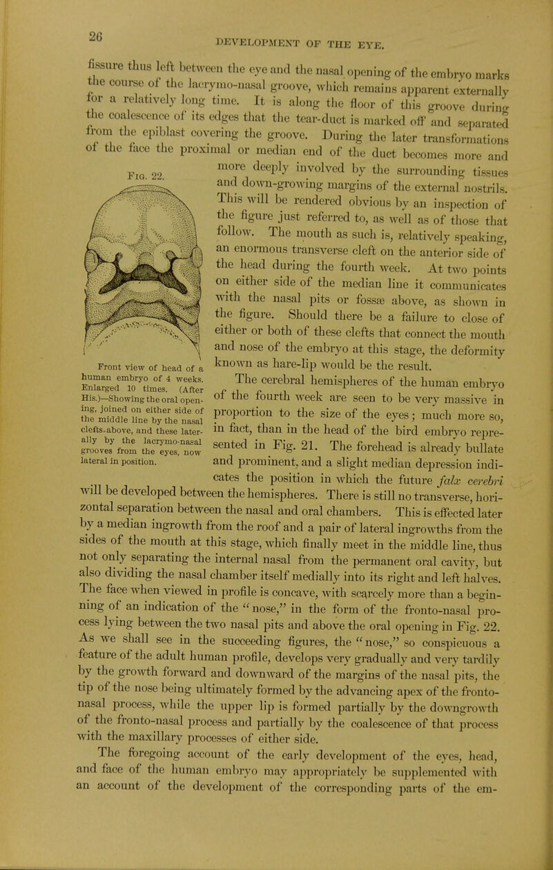 DEVELOPMENT OF THE EYE. Fig. 22. fissure thus left between the eye and the nasal opening of the embryo marks the course of the lacrymo-uasal groove, which remains apparent externallv for a i^latively long time. It is along the floor of this groove during the coalescence of its edges that the tear-duct is marked off and sejiarated from the epiblast covering the groove. During the later transformations of tlie face the proximal or median end of the duct becomes more and more deeply involved by the surrounding tissues and do\vn-growing margins of the external n.jstrils. This will be rendered obvious by an inspection of the figure just referred to, as Avell as of those that follow. The mouth as such is, relatively speaking, an enormous transverse cleft on the anterior side of the head during the fourth week. At two points on either side of the median line it communicates with the nasal pits or fossae above, as shown in the figure. Should there be a failure to close of either or both of these clefts that connect the mouth and nose of the embryo at this stage, the deformity known as hare-lip would be the result. The cerebral hemispheres of the human embryo of the fourth week are seen to be very massive m fhfitrenLljrraf r^^rtion to the size of the eyes; much more so, clefts.above, and these later- i^ct, than in the head of the bird embryo repre- gr'oveJfro; t^Tes^'w ^^^^^^ ^l- The forehead is already bullate lateral In position. and promment, and a slight median depression indi- cates the position in Avhich the future falx cerebri will be developed between the hemispheres. There is still no transverse, hori- zontal separation between the nasal and oral chambers. This is effected later by a median ingrowth from the roof and a pair of lateral ingrowths from the sides of the mouth at this stage, which finally meet in the middle line, thus not only separating the internal nasal from the permanent oral cavity, but also dividing the nasal chamber itself medially into its right and left halves. The face when viewed in profile is concave, with scarcely more than a begin- ning of an indication of the nose, in the form of the fronto-nasal pro- cess lying between the two nasal pits and above the oral opening in Fig. 22. As we shall see in the succeeding figures, the  nose, so conspicuous a feature of the adult human profile, develops very gradually and very tardily by the growth forward and downward of the margins of the nasal pits, the tip of the nose being ultimately formed by the advancing apex of the fronto- nasal process, while the upper lip is formed partially by the downgrowth of the fronto-nasal process and partially by the coalescence of that process with the maxillary processes of either side. The fi)regoing account of the early development of the eyes, liead, and face of the human embryo may appropriately ])e supplemented with an account of the development of the corresponding parts of the em- Front view of head of a human embryo of 4 weeks. Enlarged 10 times. (After His.)—Showing the oral open-