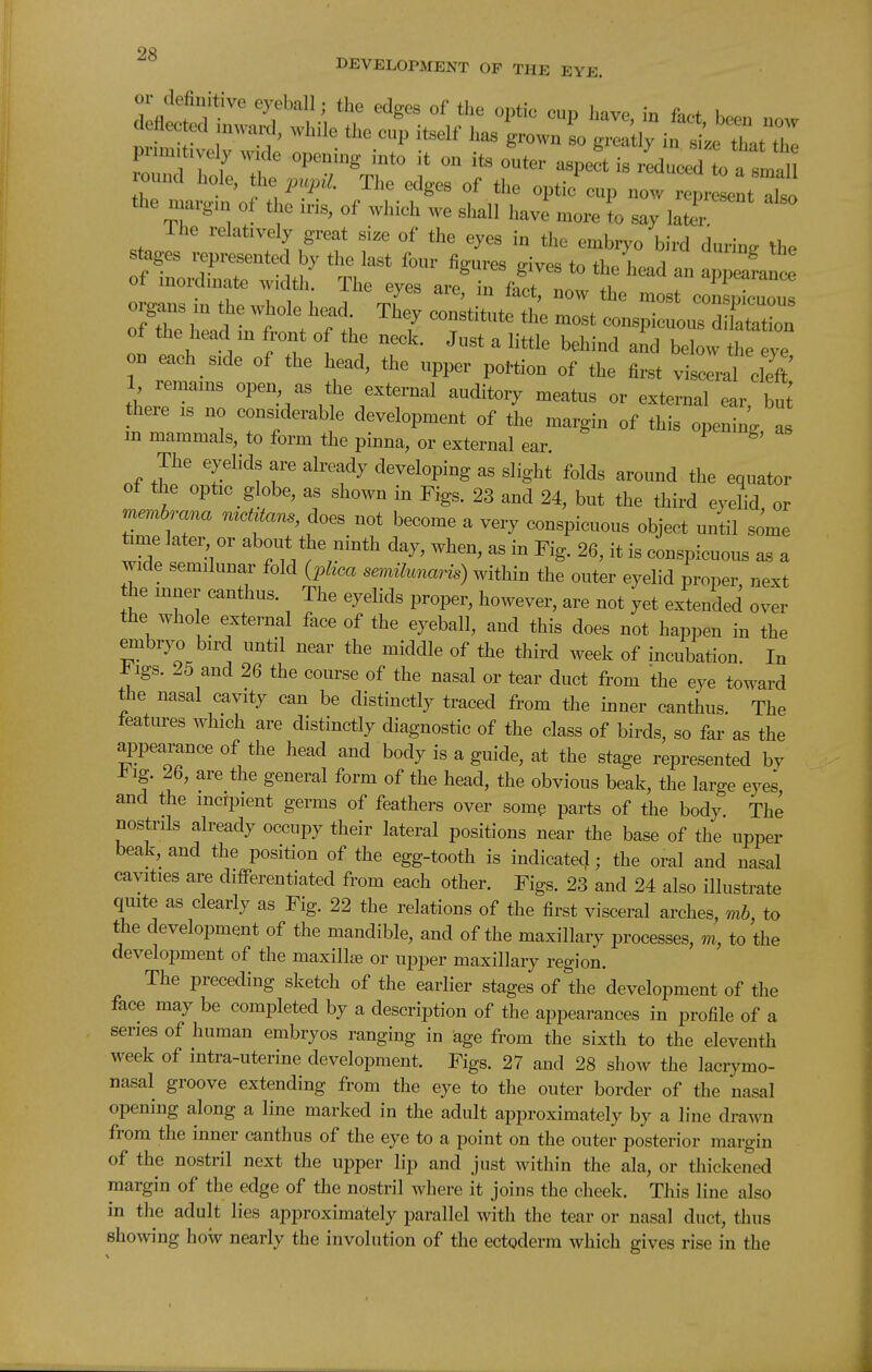 DEVELOPMENT OF THE EYE. pnmitive y w.de opening into it on its onter aspeft is rLuced 1 tlie maigin of the ins, of winch we shall have more to say later. The relatively great size of the eyes in the embryo bird durin. the stages represented by the last four figures gives to the head an a^^Zanc of mordmate width. The eyes are, in fact, now the most con Xuou o?r w Lt: t ft ^''^ T'^*^ -^^^ conspicuous dSr of the head in front of the neck. Just a little behind and below the eye on each side of the head, the upper poHion of the first visceral cleft 1 remains open as the external auditory meatus or external ear, bu^ there is no considerable development of the margin of this opening a m mammals, to form the pinna, or external ear. ^' The eyelids are already developing as slight folds around the equator of the optic globe, as shown in Figs. 23 and 24, but the third eyelid or membrana mcMans, does not become a very conspicuous object until some time lately or about the ninth day, when, as in Fig. 26, it is conspicuous as a wide semilunar fold {plica semilunaris) within the outer eyelid proper next the inner canthus. The eyeHds proper, however, are not yet extended over the whole external face of the eyeball, and this does not happen in the embryo bird until near the middle of the third week of incubation. In Figs. 25 and 26 the course of the nasal or tear duct from the eye toward the nasal cavity can be distinctly traced from the inner canthus. The leatures which are distinctly diagnostic of the class of birds, so far as the appearance of the head and body is a guide, at the stage represented by J^ig. 26, are the general form of the head, the obvious beak, the large eyes and the incipient germs of feathers over somg parts of the body. The nostrils already occupy their lateral positions near the base of the upper beak, and the position of the egg-tooth is indicated; the oral and nasal cavities are differentiated from each other. Figs. 23 and 24 also illustrate quite as clearly as Fig. 22 the relations of the first visceral arches, mb, to the development of the mandible, and of the maxillary processes, m, to the development of the maxillae or upper maxillary region. The preceding sketch of the earlier stages of the development of the face may be completed by a description of the appearances in profile of a series of human embryos ranging in age from the sixth to the eleventh week of intra-uterine development. Figs. 27 and 28 show the lacrymo- nasal groove extending from the eye to the outer border of the nasal opening along a line marked in the adult approximately by a line drawn from the inner canthus of the eye to a point on the outer posterior margin of the nostril next the upper lip and just within the ala, or thickened margin of the edge of the nostril where it joins the cheek. This line also in the adult lies approximately parallel with the tear or nasal duct, thus showing how nearly the involution of the ectoderm which gives rise in the