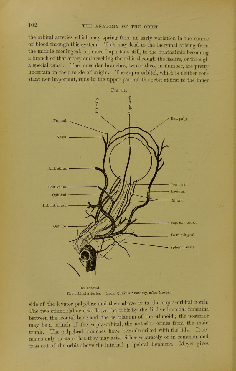 the orbital arteries which may spring from an early variation in the course of blood through this system. This may lead to the lacrymal arising from the middle meningeal, or, more important still, to the ophthalmic becoming a branch of that artery and reaching the orbit through the fissure, or through a special canal. The muscular branches, two or three in number, are pretty uncertain in their mode of origin. The supra-orbital, which is neither con- stant nor important, runs in the upper part of the orbit at first to the inner Fig. 31. Frontal. Nasal. Ant. ethm. Post. ethm. Ophthal. Inf. int. muse. Opt. for. Ext. palp. Cent. ret. Lacrym. Ciliary. Sup. ext. muse. To meningeal. Sphen. fissure. Int. carotid. The orbital arteries. (From Quain's Anatomy, after Meyer.) side of the levator palpebrte and then above it to the supra-orbital notch. The two ethmoidal arteries leave the orbit by the little ethmoidal foramina between the frontal bone and the os planum of the ethmoid ; the posterior may be a branch of the supra-orbital, the anterior comes from tlie main trunk. The palpebral branches have been described with the lids. It re- mains only to state that they may arise either separately or in common, and pass out of the orbit above the internal palpebral ligament. Meyer gives