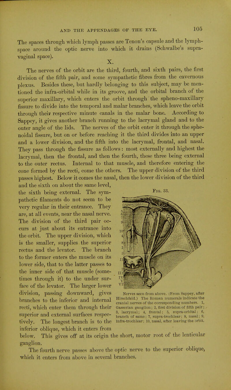 Fig. 33. The spaces through which lymph passes are Tenon's capsule and the lymph- space around the optic nerve into which it drains (Schwalbe's supra- vaginal space). X. The nerves of the orbit are the third, fourth, and sixth pairs, the first division of the fifth pair, and some sympathetic fibres from the cavernous plexus. Besides these, but hardly belonging to this subject, may be men- tioned the infra-orbital while in its groove, and the orbital branch of the superior maxillary, which enters the orbit through the spheno-maxillary fissure to divide into the temporal and malar branches, which leave the orbit through theip respective minute canals in the malar bone. According to Sappey, it gives another branch running to the lacrymal gland and to the outer angle of the lids. The nerves of the orbit enter it through the sphe- noidal fissure, but on or before reaching it the third divides into an upper and a lower division, and the fifth into the lacrymal, frontal, and nasal. They pass through the fissure as follows: most externally and highest the lacrymal, then the frontal, and then the fourth, these three being external to the outer rectus. Internal to that muscle, and therefore entering the cone formed by the recti, come the others. The upper division of the third passes highest. Below it comes the nasal, then the lower division of the third and the sixth on about the same level, the sixth being external. The sym- pathetic filaments do not seem to be very regular in their entrance. They are, at all events, near the nasal nerve. The division of the third pair oc- curs at just about its entrance into the orbit. The upper division, which is the smaller, supplies the superior rectus and the levator. The branch to the former enters the muscle on its lower side, that to the latter passes to the inner side of that muscle (some- times through it) to the under sur- face of the levator. The larger lower division, passing downward, gives branches to the inferior and internal recti, which enter them through their superior and external surfaces respec- tively. The longest branch is to the inferior oblique, which it enters from below. This gives off at its origin the short, motor root of the lenticular ganglion. The fourth nerve passes above the optic nei-ve to the superior oblique, which it enters from above in several branches. Nerves seen from above. (Prom Sappey, after Hirschfeld.) The Roman numerals indicate the cranial nerves of the corresponding numbers. 1, Gasserian ganglion; 2, first division of fifth pair; 3, lacrymal; 4, frontal; 5, supra-orbital; 6, branch of same; 7, supra-trochlear; 8, nasal; 9, infra-trochlear; 10, nasal, after leaving the orbit.
