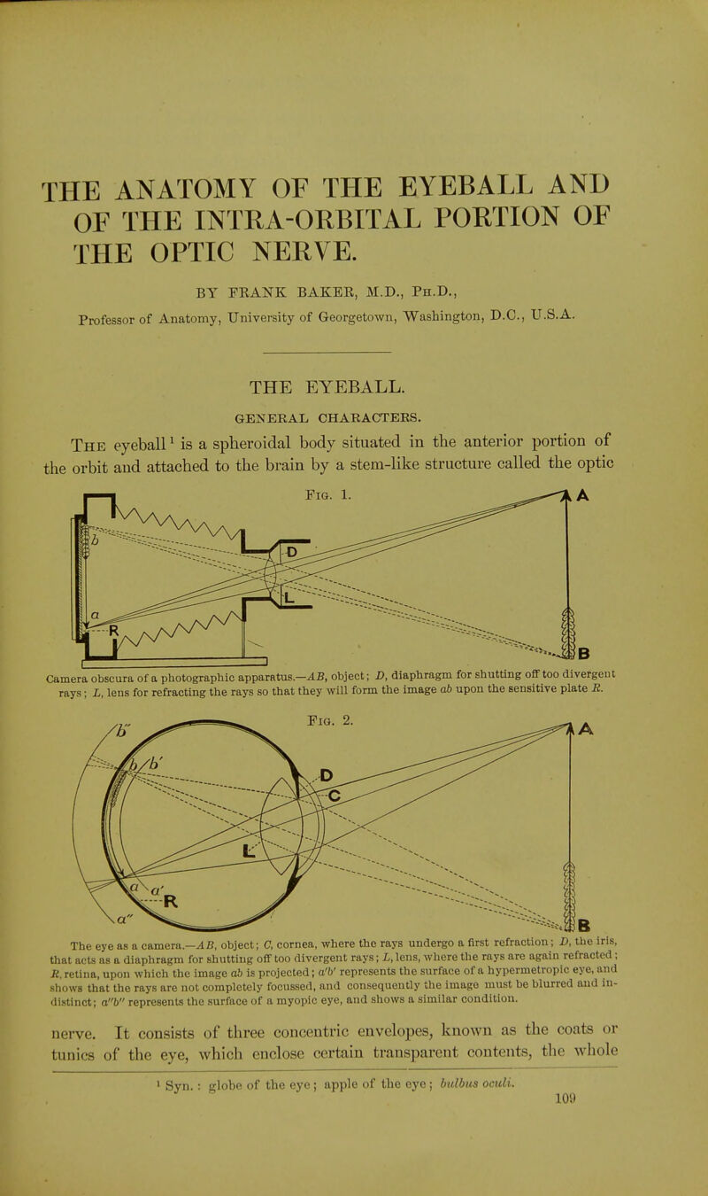 THE ANATOMY OF THE EYEBALL AND OF THE INTRA-ORBITAL PORTION OF THE OPTIC NERVE. BY FRANK BAKER, M.D., Ph.D., Professor of Anatomy, University of Georgetown, Washington, D.C., U.S.A. THE EYEBALL. GENERAL CHARACTERS. The eyeball ^ is a spheroidal body situated in the anterior portion of the orbit and attached to the brain by a stem-like structure called the optic Fig. 1. Camera obscura of a photographic apparatus.—object; JD, diaphragm for shutting ofiFtoo divergent rays; L, lens for refracting the rays so that they will form the image ab upon the sensitive plate R. The eye as a camera.—^B, object; C, cornea, where the rays undergo a first refraction; D, the iris, that acts as a diaphragm for shutting off too divergent rays; L, lens, where the rays are again refracted; R. retina, upon which the image db is projected; a'b' represents the surface of a hypermetropic eye, and shows that the rays are not completely focussed, and consequently the image must be blurred and in- distinct; ab represents the surface of a myopic eye, and shows a similar condition. nerve. It consists of three concentric envelopes, known as the coats or tunics of the eye, which enclose certain transparent contents, the whole 1 Syn.: globe of the eye; apple of the eye ; hulbus oculi.