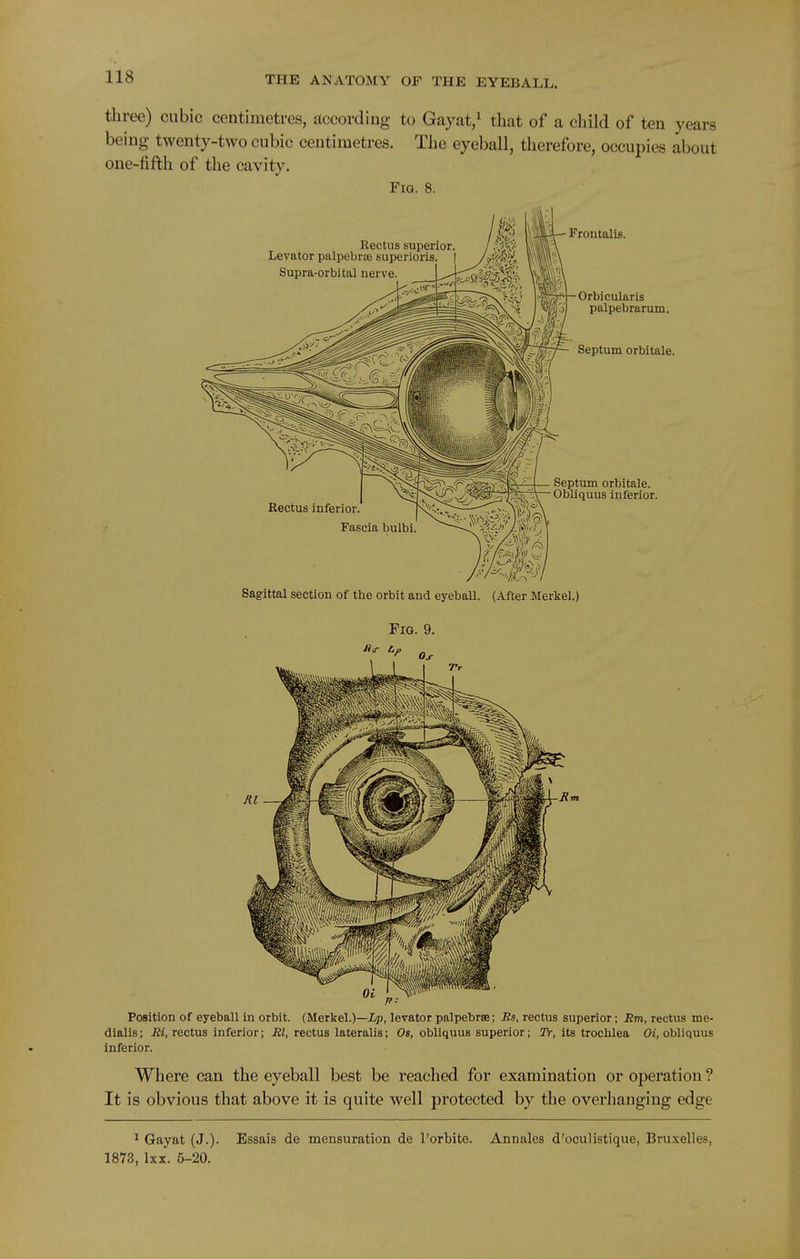 three) cubic centimetres, according to Gayat/ that of a child of ten years being twenty-two cubic centimetres. The eyeball, therefore, occupies about one-fifth of the cavity. Fig. 8. Sagittal section of the orbit and eyeball. (After Merkel.) Fig. 9. Position of eyeball in orbit. (Merkel.)—Xp, levator palpebrse; Ss, rectus superior; Rm, rectus me- dialis; J2i, rectus inferior; rectus lateralis; 0«, obliquus superior; TV, its trochlea Oi, obliquus inferior. Where can the eyeball best be reached for examination or operation ? It is obvious that above it is quite well protected by the overhanging edge ^ Gayat (J.). Essais de mensuration de I'orbite. Annales d'oculistique, Bruxelles, 1873, Ixx. 5-20.