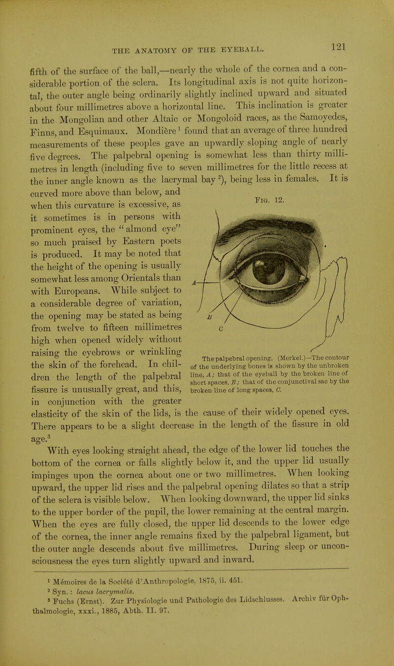fifth of the surface of the ball—nearly the whole of the cornea and a con- siderable portion of the sclera. Its longitudinal axis is not quite horizon- tal, the outer angle being ordinarily slightly inclined upward and situated about four millimetres above a horizontal line. This inclination is greater in the Mongolian and other Altaic or Mongoloid races, as the Samoyedes, Finns, and Esquimaux. Mondifere ^ found that an average of three hundred measurements of these peoples gave an upwardly sloping angle of nearly five degrees. The palpebral opening is somewhat less than thirty milli- metres in length (including five to seven millimetres for the little recess at the inner angle known as the lacrymal bay ^), being less in females. It is curved more above than below, and when this curvature is excessive, as it sometimes is in persons with prominent eyes, the almond eye so much praised by Eastern poets is produced. It may be noted that the height of the opening is usually somewhat less among Orientals than with Europeans. While subject to a considerable degree of variation, the opening may be stated as being from twelve to fifteen millimetres high when opened widely without raising the eyebrows or wrinkling the skin of the forehead. In chil- dren the length of the palpebral fissure is unusually great, and this, in conjunction with the greater elasticity of the skin of the lids, is the cause of their widely opened eyes. There appears to be a slight decrease in the length of the fissure in old age.^ With eyes looking straight ahead, the edge of the lower lid touches the bottom of the cornea or falls slightly below it, and the upper lid usually impinges upon the cornea about one or two millimetres. When looking upward, the upper lid rises and the palpebral opening dilates so that a strip of the sclera is visible below. When looking downward, the upper lid sinks to the upper border of the pupil, the lower remaining at the central margin. When the eyes are fully closed, the upper lid descends to the lower edge of the cornea, the inner angle remains fixed by the palpebral ligament, but the outer angle descends about five millimetres. During sleep or uncon- sciousness the eyes turn slightly upward and inward. J Memoires do la Societe d'Anthropologie, 1875, ii. 451. ' Syn.: lacus lacrymalis. » Fuchs (Ernst). Zur Physiologie und Pathologie des Lidschlusses. Arcbiv fiir Oph- thalmologic, xxxi., 1885, Abth. II. 97. Fig. 12. A The palpebral opening. (Merkel.)—The contour of the underlying bones is shown by the unbroken line, ^; that of the eyeball by the broken line of short spaces, B; that of the conjunctival sac by the broken line of long spaces, C.