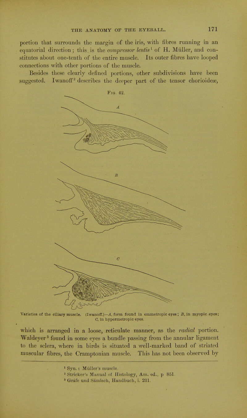 portion that surroimds the margin of the iris, with fibres running in an equatorial direction; this, is the compressor lentis^ of H. Miiller, and con- stitutes about one-tenth of the entire muscle. Its outer fibres have looped connections with other portions of the muscle. Besides these clearly defined portions, other subdivisions have been suggested. Iwanoff^ describes the deeper part of the tensor chorioideaj, Fig. 42. Varieties of the ciliary muscle. (Iwanoff.)—4. form found in emmetropic eyes; B.in myopic eyes; C, in hypermetropic eyes. which is arranged in a loose, reticulate manner, as the radial portion. Waldeyer * found in some eyes a bundle passing from the annular ligament to the sclera, where in birds is situated a well-marked band of striated muscular fibres, the Cramptonian muscle. This has not been observed by ' Syn.: Miiller's muscle. ' Strieker's Manual of Histology, Am. ed., p 851. ' Grafe und Samisch, Handbuch, i. 231.