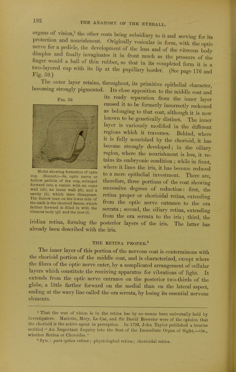 THE ANATOMY OF THE EYEBALL. Fig. 59. organs of vision,^ the other coats being subsidiary to it and serving for its protection and nourishment. Originally vesicular in form, with the optic nerve for a pedicle, the development of the lens and of the vitreous body dnnples and finally invaginates it in front much as the pressure of the finger would a ball of thin rubber, so that in its completed form it is a Fig 5rr^ ''''^ pupillary border. (See page 176 and The outer layer retains, throughout, its primitive epithelial character becoming strongly pigmented. Its close apposition to the middle coat and its ready separation from the inner layer caused it to be formerly incorrectly reckoned as belonging to that coat, although it is now known to be genetically distinct. The inner layer is variously modified in the different regions which it traverses. Behind, where it is fully nourished by the chorioid, it has become strongly developed; in the ciliary region, where the nourishment is less, it re- tains its embryonic condition ; while in front, where it lines the iris, it has become reduced to a mere epithelial investment. There are, therefore, three portions of the coat showing successive degrees of reduction : first, the retina proper or chorioidal retina, extending from the optic nerve entrance to the ora serrata; second, the ciliary retina, extending from the ora serrata to the iris; third, the iridian retina, forming the posterior layers of the iris. The latter has already been described with the iris. Model showing formation of optic cup. (Bonnet.)—Sm, optic nerve or hollow pedicle of the cup, enlarged forward into a vesicle with an outer wall (ab), an inner wall (ib), and a cavity (/t), which later disappears. The furrow (oms) on the lower side of the stalk is the chorioid Assure, which farther forward is filled in with the vitreous body (gl) and the lens {I). THE RETINA PROPER.^ The inner layer of this portion of the nervous coat is conterminous with the chorioid portion of the middle coat, and is characterized, except where the fibres of the optic nerve enter, by a complicated arrangement of cellular layers which constitute the receiving apparatus for vibrations of light. It extends from the optic nerve entrance on the posterior two-thirds of the globe, a little farther forward on the medial than on the lateral aspect, ending at the wavy line called the ora serrata, by losing its essential nervous elements. ' That the seat of vision is in the retina has by no means been universally held by investigators. Mariotte, Mery, Le Cat, and Sir David Brewster were of the opinion that the chorioid is the active agent in perception. In 1793, John Taylor published a treatise entitled An Important Inquiry into the Seat of the Immediate Organ of Sight,—viz., whether Retina or Choroides. * Syn.: para optica retinas; physiological retina; chorioidal retina.