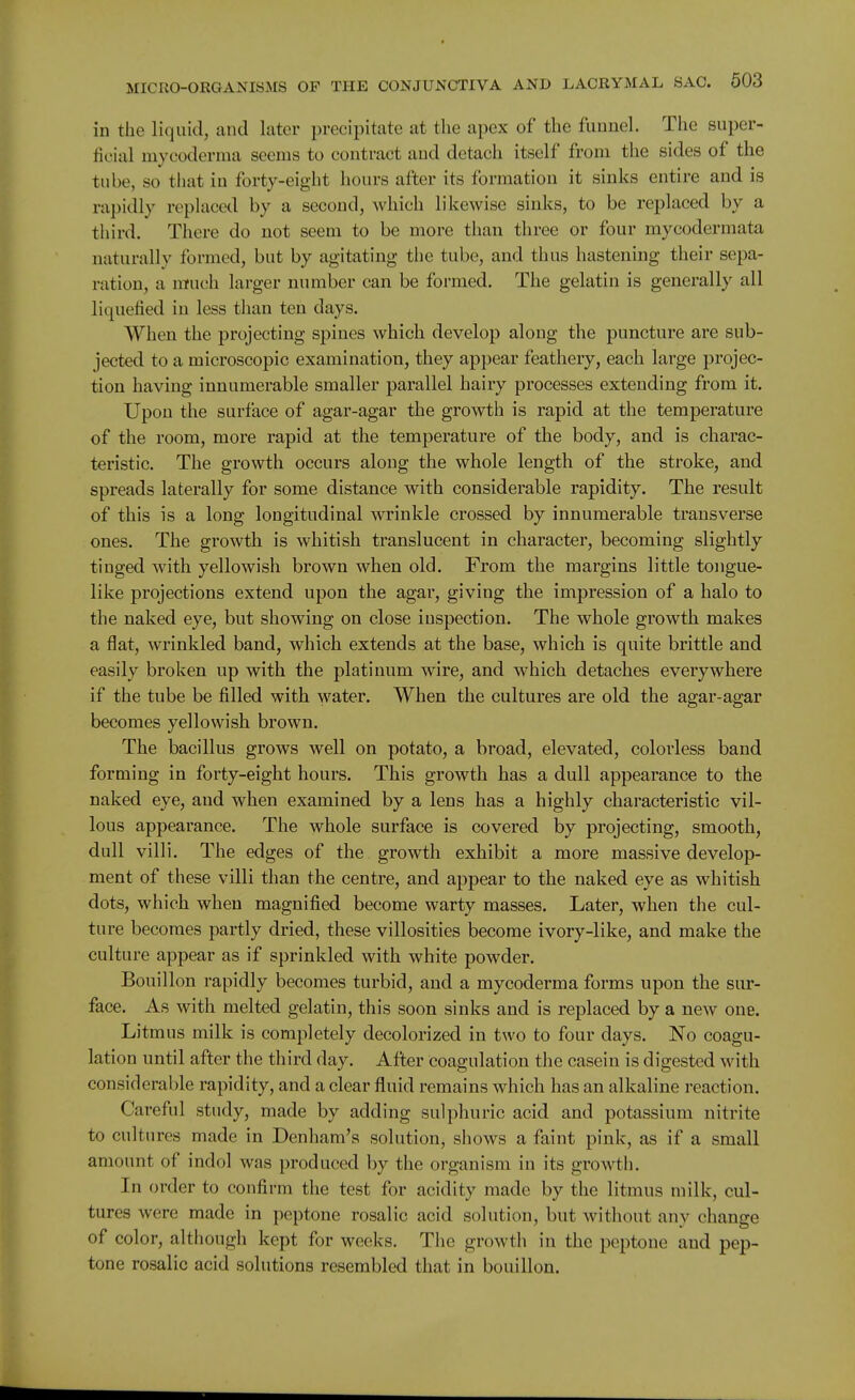 in the liquid, and later precipitate at the apex of the funnel. The super- ficial mycoderma seems to contract and detach itself from the sides of the tube, so tliat in forty-eight hours after its formation it sinks entire and is rapidly replaced by a second, which likewise sinks, to be replaced by a third. There do not seem to be more than three or four mycodermata naturally formed, but by agitating the tube, and thus hastening their sepa- ration, a much larger number can be formed. The gelatin is generally all liquefied in less than ten days. When the projecting spines which develop along the puncture are sub- jected to a microscopic examination, they appear feathery, each large projec- tion having innumerable smaller parallel hairy processes extending from it. Upon the surface of agar-agar the growth is rapid at the temperature of the room, more rapid at the temperature of the body, and is charac- teristic. The growth occurs along the whole length of the stroke, and spreads laterally for some distance with considerable rapidity. The result of this is a long longitudinal wrinkle crossed by innumerable transverse ones. The growth is whitish translucent in character, becoming slightly tinged with yellowish brown when old. From the margins little tongue- like projections extend upon the agar, giving the impression of a halo to the naked eye, but showing on close inspection. The whole growth makes a flat, wrinkled band, which extends at the base, which is quite brittle and easily broken up with the platinum wire, and which detaches everywhere if the tube be filled with water. When the cultures are old the agar-agar becomes yellowish brown. The bacillus grows well on potato, a broad, elevated, colorless band forming in forty-eight hours. This growth has a dull appearance to the naked eye, and when examined by a lens has a highly characteristic vil- lous appearance. The whole surface is covered by projecting, smooth, dull villi. The edges of the growth exhibit a more massive develop- ment of these villi than the centre, and appear to the naked eye as whitish dots, which when magnified become warty masses. Later, when the cul- ture becomes partly dried, these villosities become ivory-like, and make the culture appear as if sprinkled with white powder. Bouillon rapidly becomes turbid, and a mycoderma forms upon the sur- face. As with melted gelatin, this soon sinks and is replaced by a new one. Litmus milk is completely decolorized in two to four days. No coagu- lation until after the third day. After coagulation the casein is digested with considerable rapidity, and a clear fluid remains which has an alkaline reaction. Careful study, made by adding sulphuric acid and potassium nitrite to cultures made in Denham's solution, shows a faint pink, as if a small amount of indol was produced by the organism in its growth. In order to confirm the test for acidity made by the litmus milk, cul- tures were made in peptone rosalic acid solution, but without any change of color, although kept for weeks. The growth in the peptone and pep- tone rosalic acid solutions resembled that in bouillon.