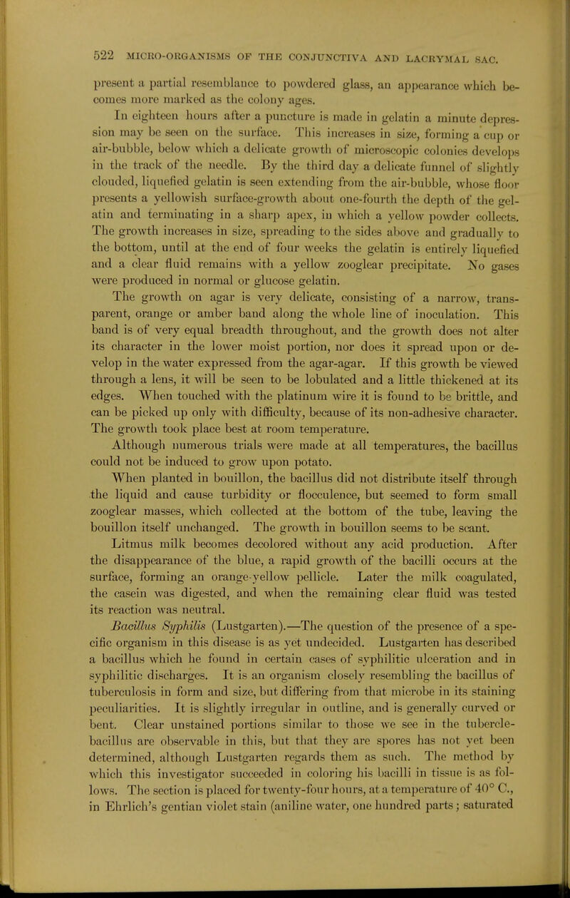 present ii partial resemblance to powdered glass, an appearance which be- comes more marked as the colony ages. In eighteen hours after a puncture is made in gelatin a minute depres- sion may be seen on the surface. This increases in size, forming a cup or air-bubble, below Avhich a delicate growth of microscopic colonies develops in the track of the needle. By the third day a delicate funnel of slightly clouded, liquefied gelatin is seen extending from the air-bubble, whose floor presents a yellowish surface-growth about one-fourth the depth of the gel- atin and terminating in a sharp apex, in which a yellow powder collects. The growth increases in size, spreading to the sides above and gradually to the bottom, until at the end of four weeks the gelatin is entirely liquefied and a clear fluid remains with a yellow zooglear precipitate. No gases were produced in normal or glucose gelatin. The growth on agar is very delicate, consisting of a narrow, trans- parent, orange or amber band along the whole line of inoculation. This band is of very equal breadth throughout, and the growth does not alter its character in the lower moist portion, nor does it spread upon or de- velop in the water expressed from the agar-agar. If this growth be viewed through a lens, it will be seen to be lobulated and a little thickened at its edges. When touched with the platinum wire it is found to bs brittle, and can be picked up only with difficulty, because of its non-adhesive character. The growth took place best at room temperature. Although numerous trials were made at all temperatures, the bacillus could not be induced to grow upon potato. When planted in bouillon, the bacillus did not distribute itself through the liquid and cause turbidity or flocculence, but seemed to form small zooglear masses, which collected at the bottom of the tube, leaving the bouillon itself unchanged. The growth in bouillon seems to be scant. Litmus milk becomes decolored without any acid production. After the disappearance of the blue, a rapid growth of the bacilli occurs at the surface, forming an orange-yellow pellicle. Later the milk coagulated, the casein was digested, and when the remaining clear fluid was tested its reaction was neutral. Bacillus Syphilis (Lustgarten).—The question of the presence of a spe- cific organism in this disease is as yet undecided. Lustgarten has described a bacillus which he found in certain cases of syphilitic ulceration and in syphilitic discharges. It is an organism closely resembling the bacillus of tuberculosis in form and size, but differing from that microbe in its staining peculiarities. It is slightly irregular in outline, and is generally curved or bent. Clear unstained portions similar to those we see in the tubercle- bacillus are observable in this, but that they are spores has not yet been determined, although Lustgarten regards them as such. The method by which this investigator succeeded in coloring his bacilli in tissue is as fol- lows. The section is placed for twenty-four hours, at a temperature of 40° C, in Ehrlich's gentian violet stain (aniline water, one hundred parts; saturated