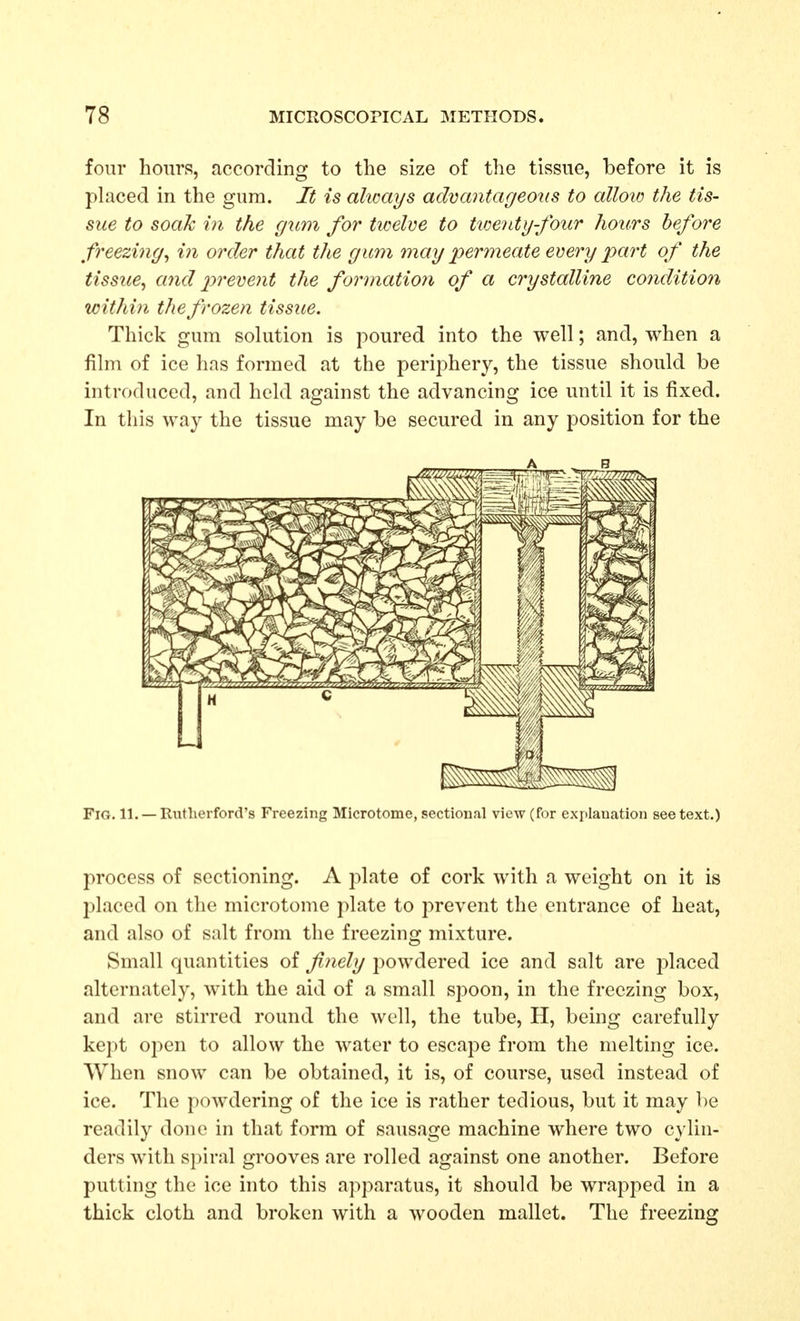 four hours, according to the size of the tissue, before it is placed in the gum. It is ahcays advantageous to allow the tis- sue to soak in the gum for twelve to twenty-four hours before freezing, i?i order that the gicm mag permeate every part of the tissue, and prevent the formation of a crystalline condition within the frozen tissue. Thick gum solution is poured into the well; and, when a film of ice has formed at the periphery, the tissue should be introduced, and held against the advancing ice until it is fixed. In this way the tissue may be secured in any position for the Fig. 11. —Rutherford's Freezing Microtome, sectional view (for explanation see text.) process of sectioning. A plate of cork with a weight on it is placed on the microtome plate to prevent the entrance of heat, and also of salt from the freezing mixture. Small quantities of finely j^owdered ice and salt are j^laced alternately, with the aid of a small spoon, in the freezing box, and are stirred round the well, the tube, H, being carefully kept open to allow the water to escape from the melting ice. When snow can be obtained, it is, of course, used instead of ice. The powdering of the ice is rather tedious, but it may be readily done in that form of sausage machine where two cylin- ders with spiral grooves are rolled against one another. Before putting the ice into this apparatus, it should be wrapped in a thick cloth and broken with a wooden mallet. The freezing