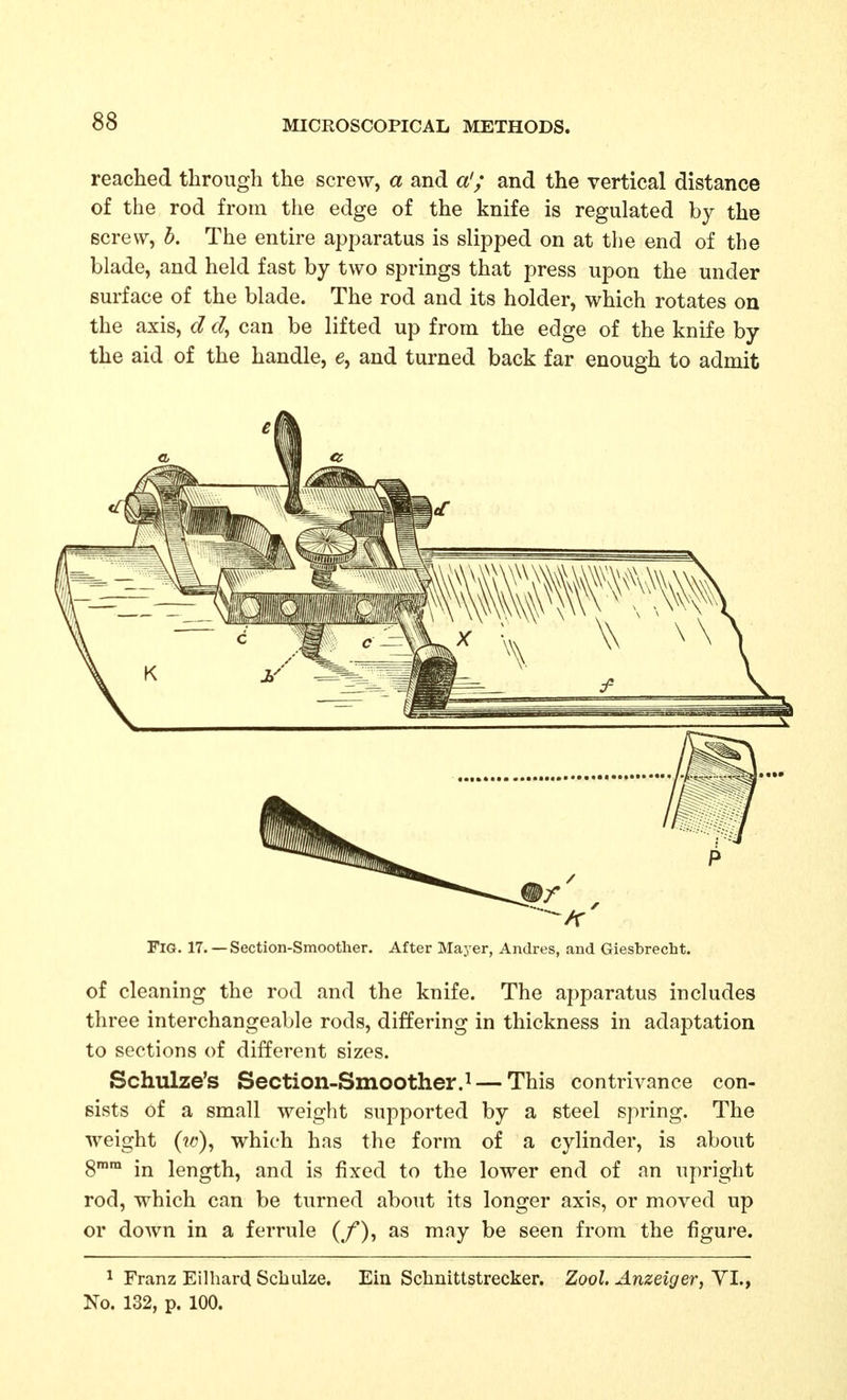 reached through the screw, a and a'; and the vertical distance of the rod from the edge of the knife is regulated by the screw, h. The entire apparatus is slipped on at the end of the blade, and held fast by two springs that press upon the under surface of the blade. The rod and its holder, which rotates on the axis, d can be lifted up from the edge of the knife by the aid of the handle, e, and turned back far enough to admit Fig. 17.— Section-Smoother. After Mayer, Andres, and Giesbrecht. of cleaning the rod and the knife. The apparatus includes three interchangeable rods, differing in thickness in adaptation to sections of different sizes. Schulze's Section-Smoother.^ — This contrivance con- sists of a small weight supported by a steel spring. The weight which has the form of a cylinder, is about 8° in length, and is fixed to the lower end of an upright rod, which can be turned about its longer axis, or moved up or down in a ferrule (/), as may be seen from the figure. 1 Franz Ellhard Scbulze. Ein Schnittstrecker. Zool. Anzeiger, YI., No. 132, p. 100.