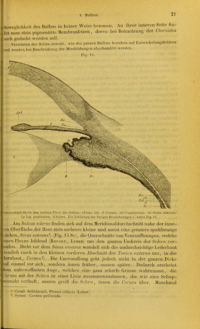 Beweglichkeit des Bulbus in keiner Weise hemmen. An ihrer intieren Seite fin- liet man stets pigmentirte Membranfetzen, deren bei Betrachtung der Choroidea iioch gedacht werden soll. Varietäten der Sclera sowohl, wie des ganzen Bulbus beruhen auf Entwickelungsfehlern )urclischnitt dnrch den vurderii Tbeil des Iiulbu.<. (Vorgr. C Cornea. Co Cüiijuiictiva. Sv Sinus venosus. Lp Lig. pectiuatinu. 6' Sclera. Die Erklärung der übrigen Bezeiclmuugen s. unten Fig. 17. Am Sulcus sclerae finden sich auf dem Meridionaldurchschnitt nahe der inne- ren Oberfläche der Haut stets mehrere kleine und meist eine grössere spaltförmige .ticken, Sinus venosus^) (Fig: 'IöSü), die Querschnitte von Venenöflnungen, welche iinen Plexus bildend (Rougkt, Lkber) um den ganzen Umkreis der Sclera ver- aufeu. Dicht vor dem Sinus veiiosus wandelt sich die undurchsichtige Lederhaut iemlich rasch in den kleinen vorderen Abschnitt der Tunica externa um, in die iornhaut, Cornea^). Die ümvvandluug geht jedoch nicht in der ganzen Dicke luf einmal vor sich, sondern innen früher, aussen später. Dadurch erscheint lern unbewaffneten Auge, welches eine ganz scharfe Gränze wahrnimmt, die yornea mit der Sclera in einer Linie zusammenzustossen, die wie eine Schup- )ennaht verläuft; aussen greift die Sclera, innen die Cornea über. Manchmal 1) Canal. Schlenimii, Plexus ciliaris (Leber). 2) Synon : Cornea pellucida.